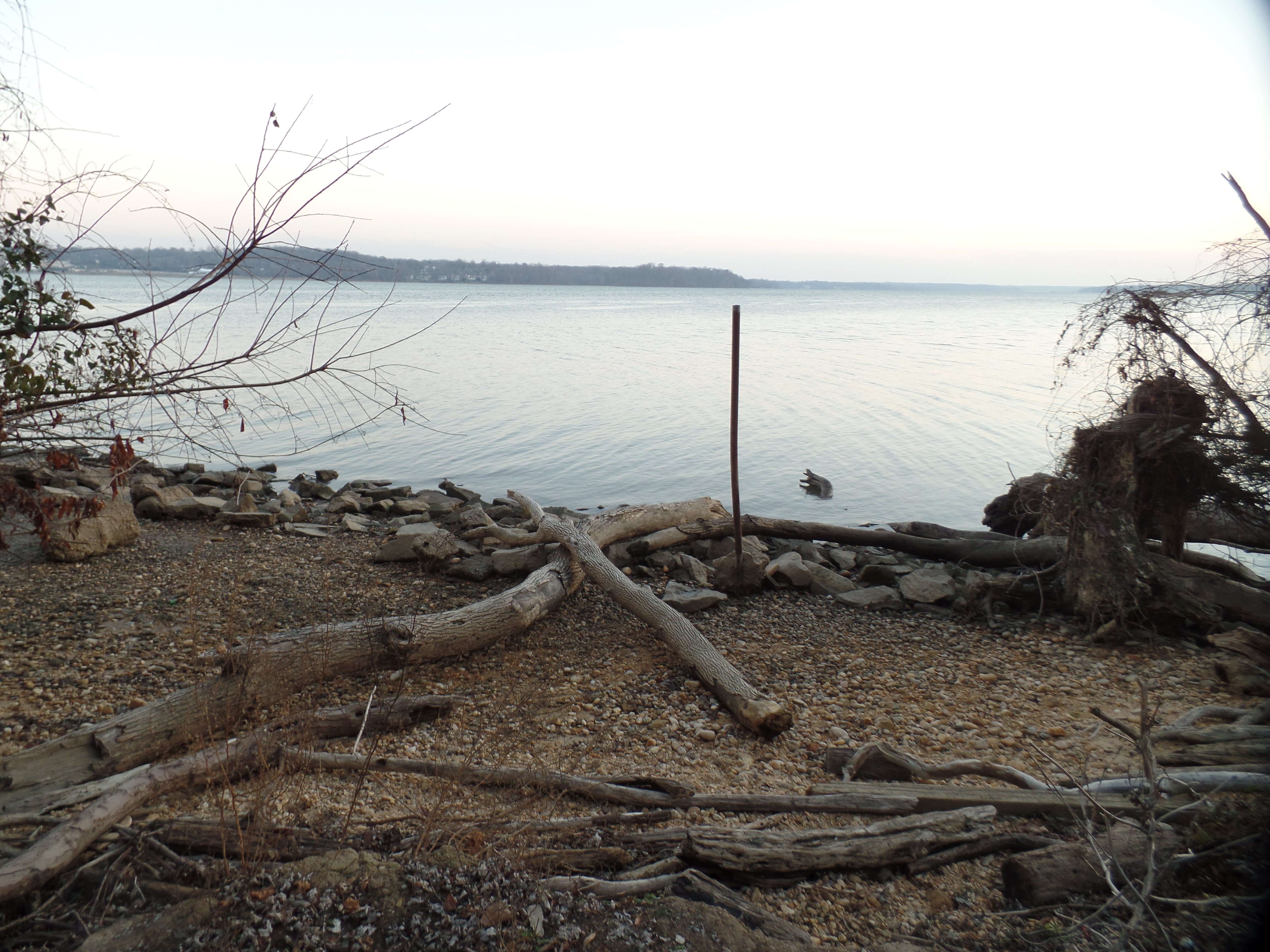 SAMSUNG CAMERA PICTURES