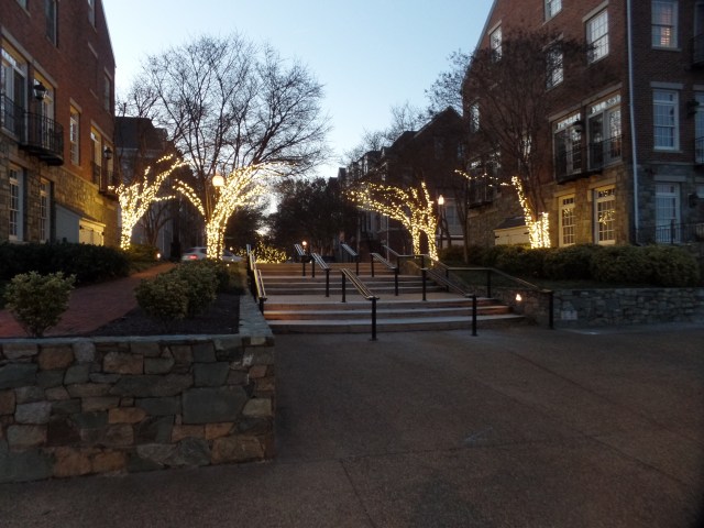 SAMSUNG CAMERA PICTURES