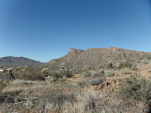 SAMSUNG CAMERA PICTURES