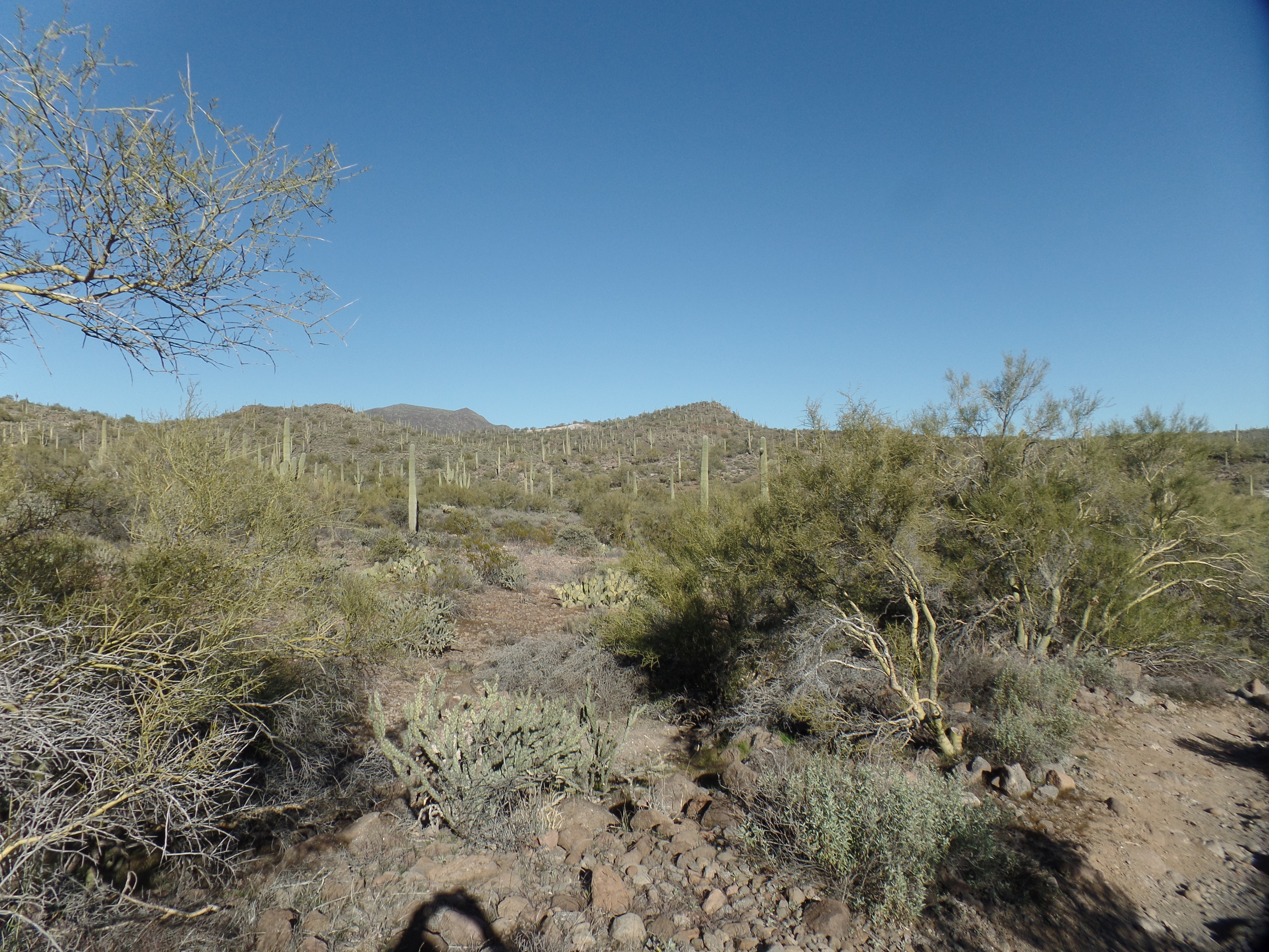 SAMSUNG CAMERA PICTURES