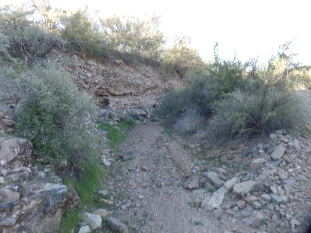 SAMSUNG CAMERA PICTURES