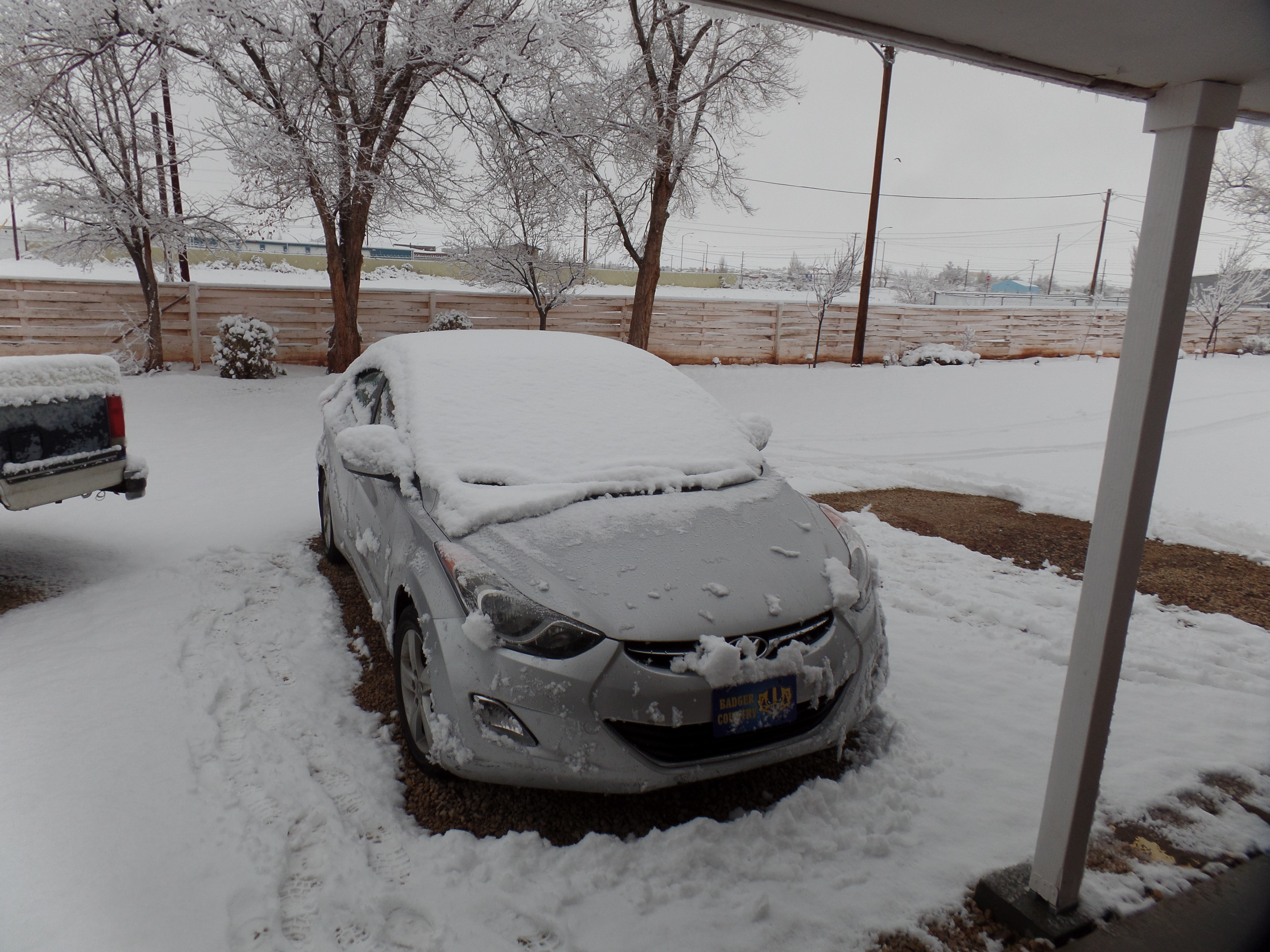 SAMSUNG CAMERA PICTURES