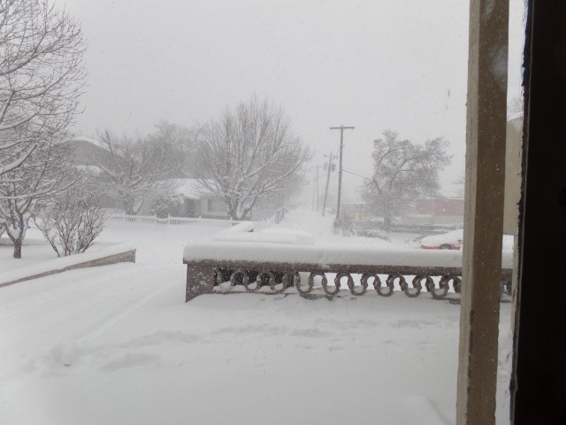 SAMSUNG CAMERA PICTURES