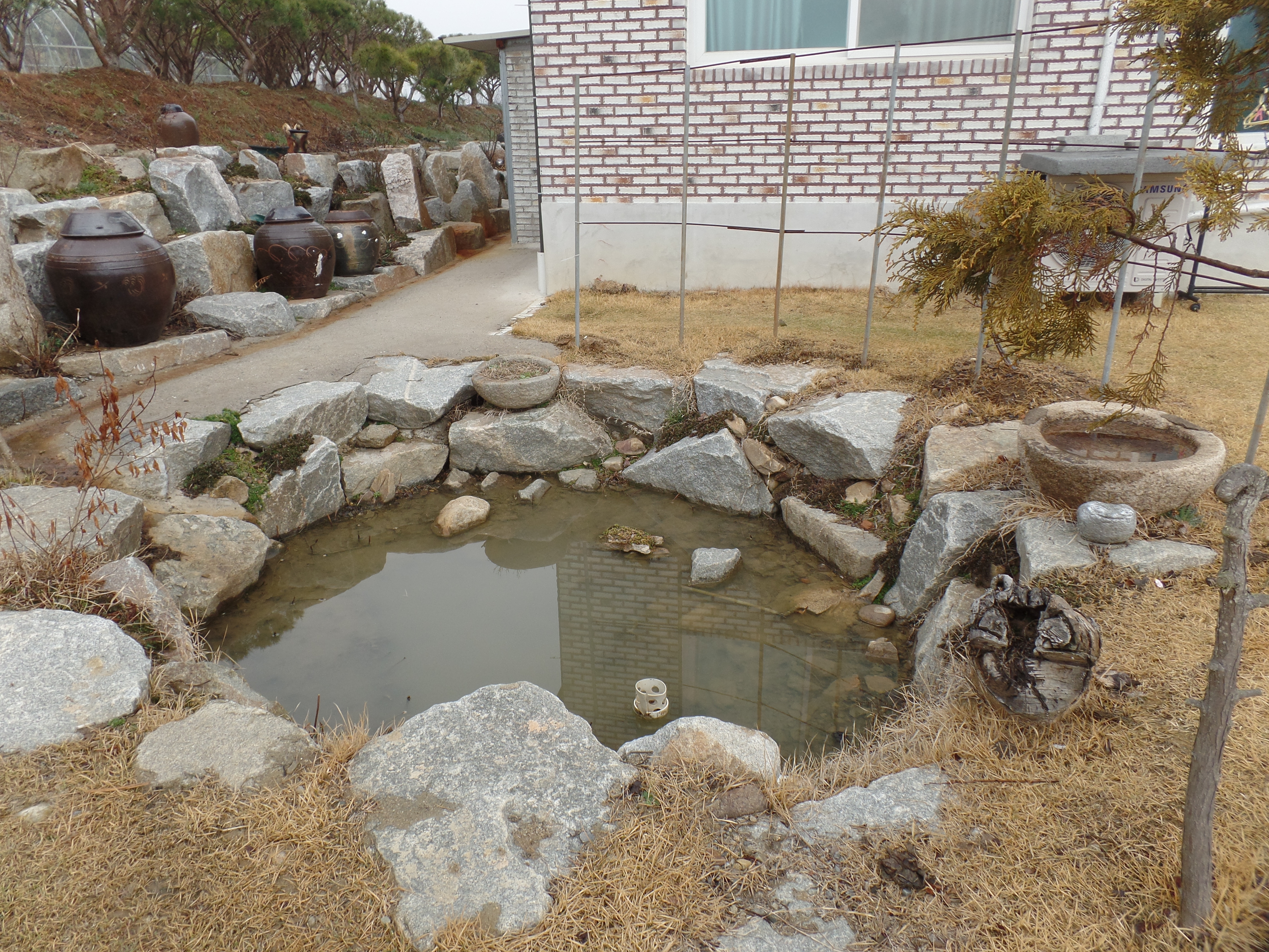 SAMSUNG CAMERA PICTURES