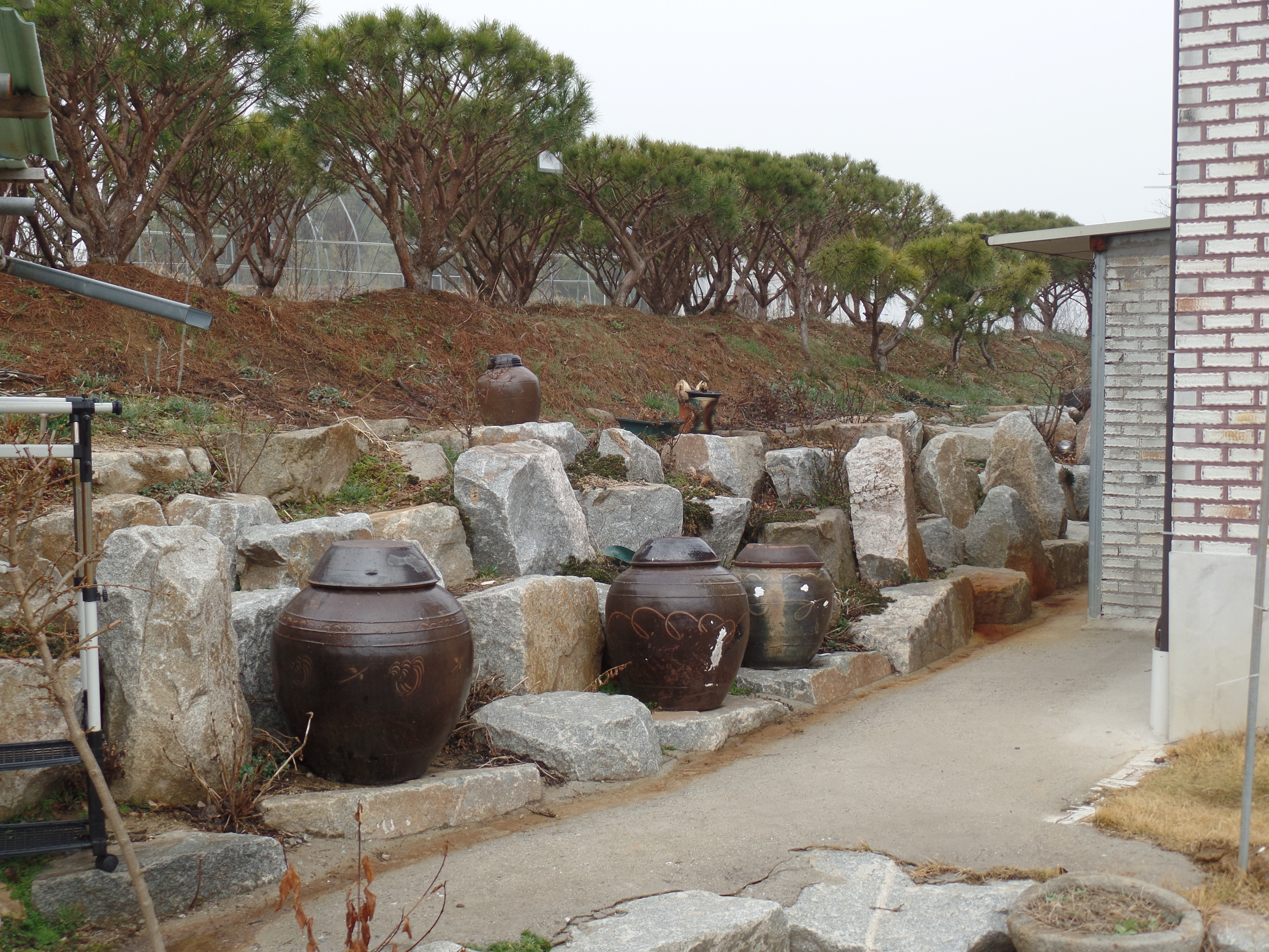 SAMSUNG CAMERA PICTURES