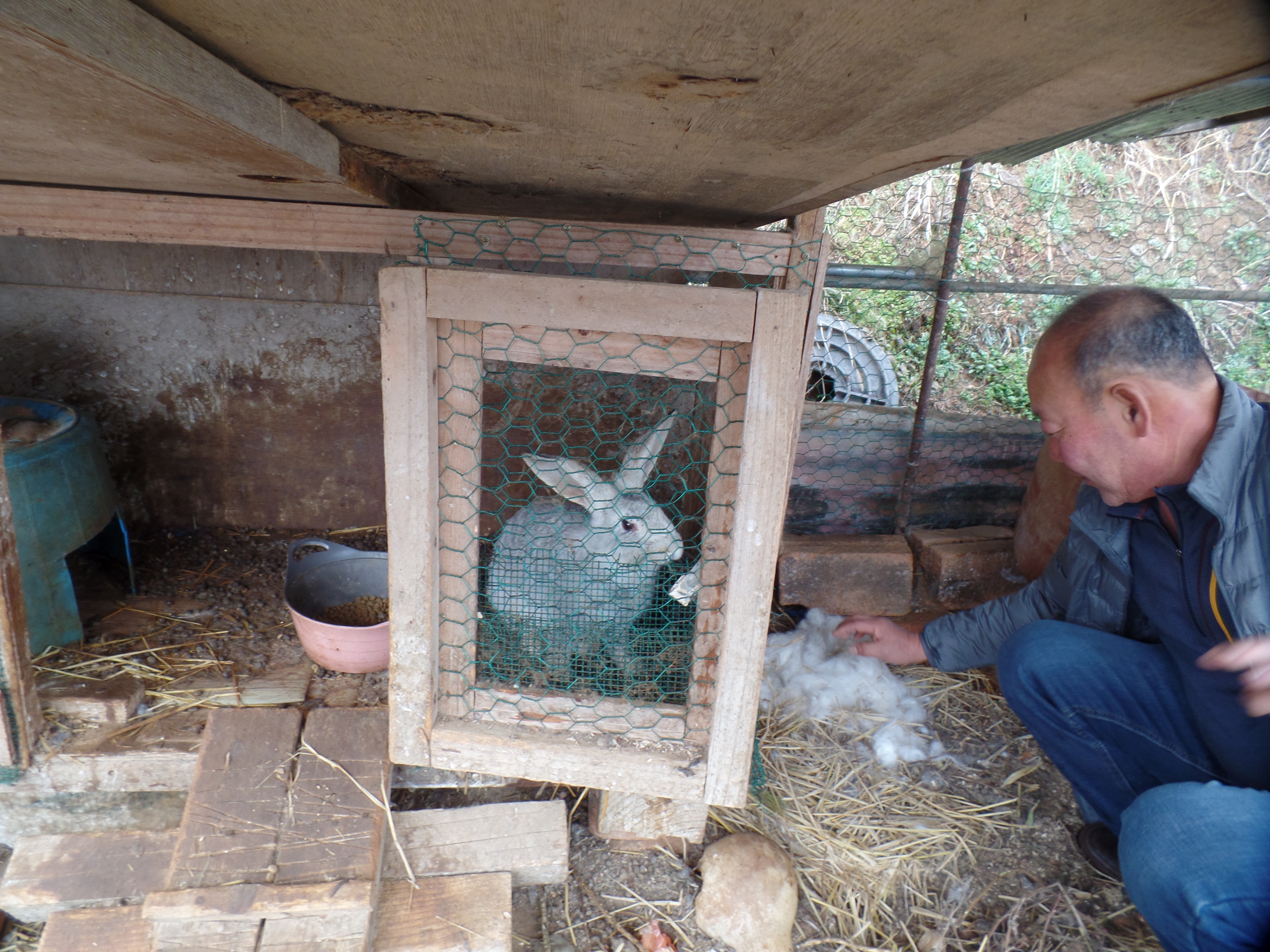 SAMSUNG CAMERA PICTURES