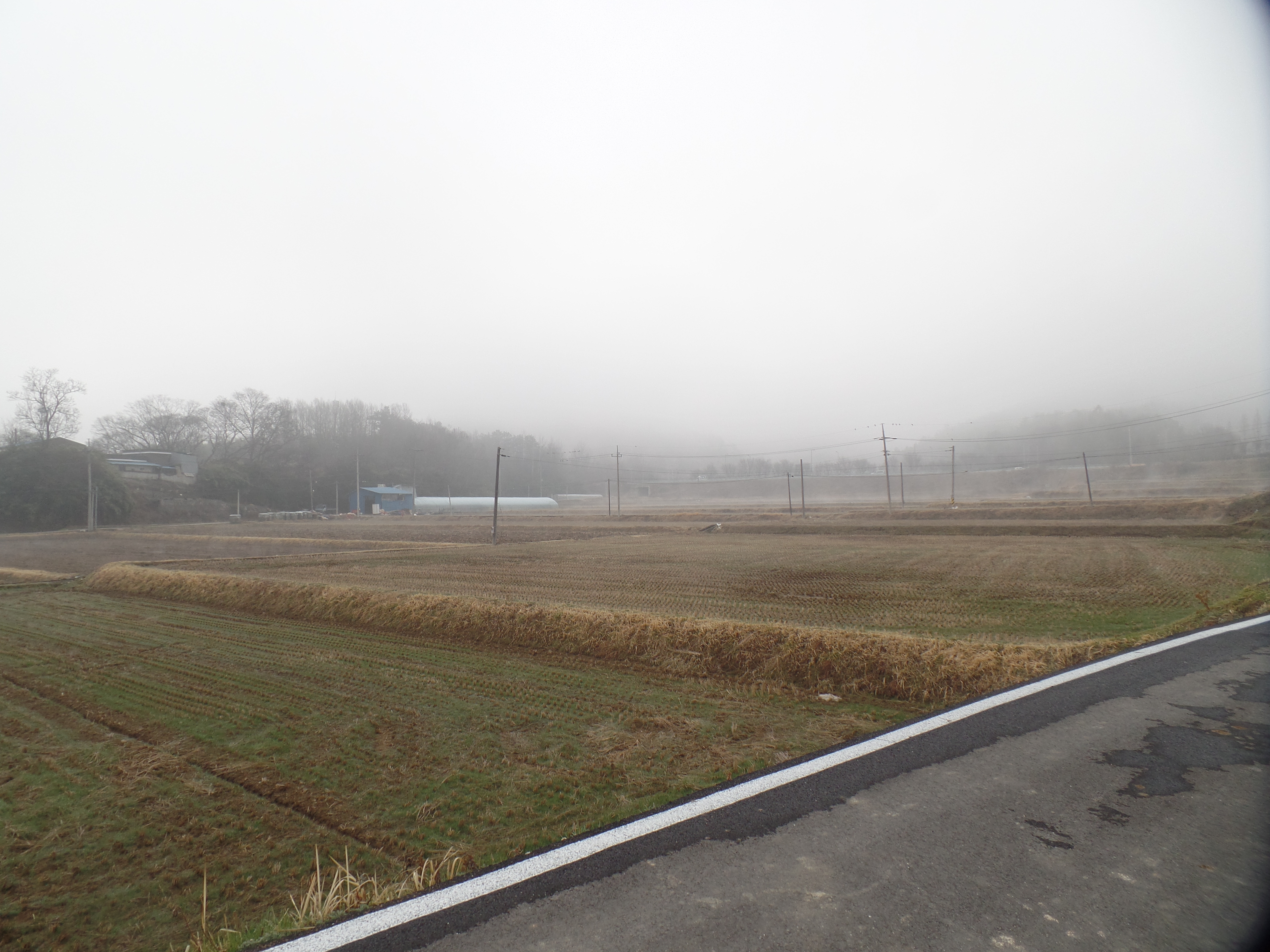 SAMSUNG CAMERA PICTURES