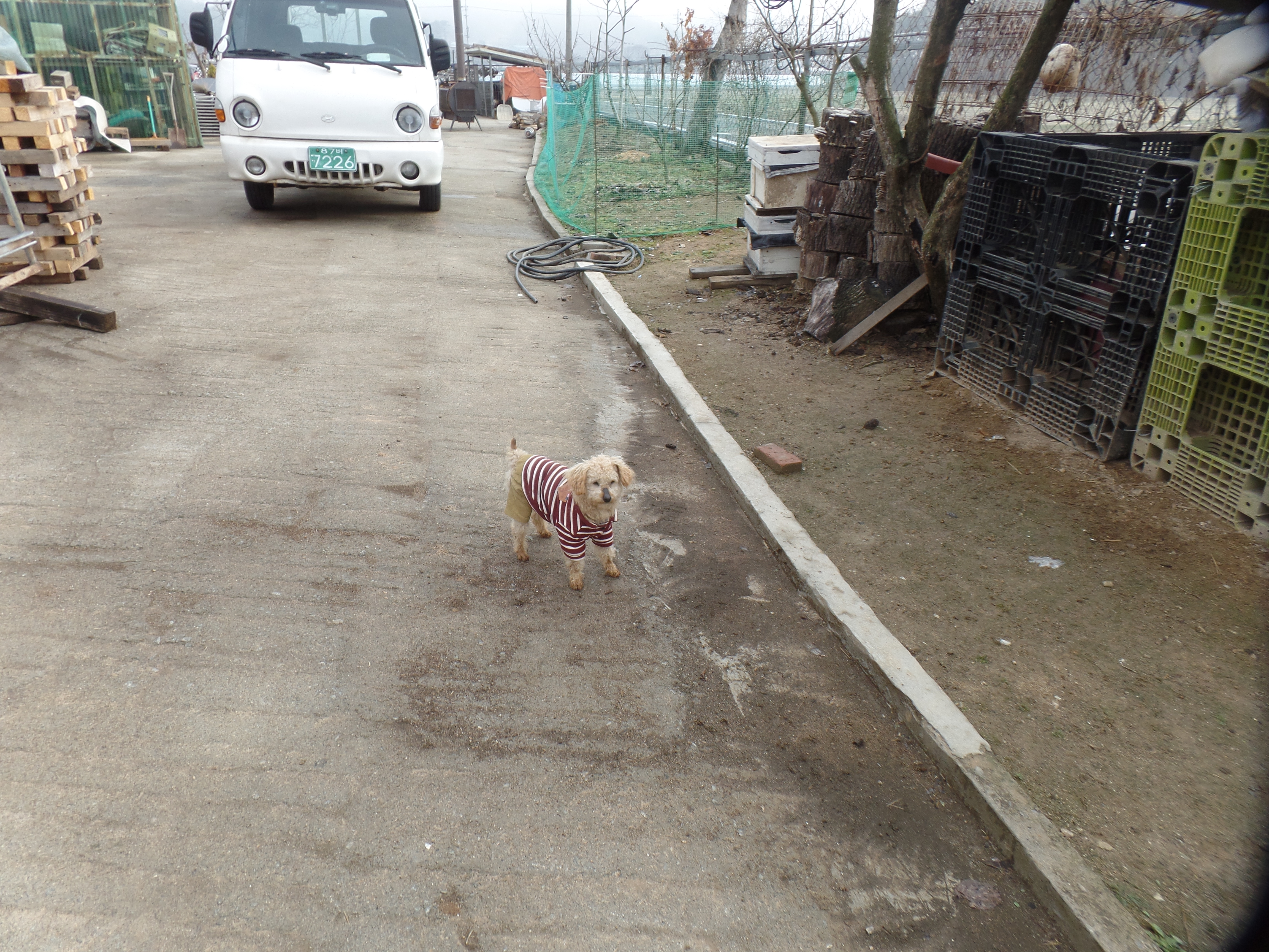 SAMSUNG CAMERA PICTURES