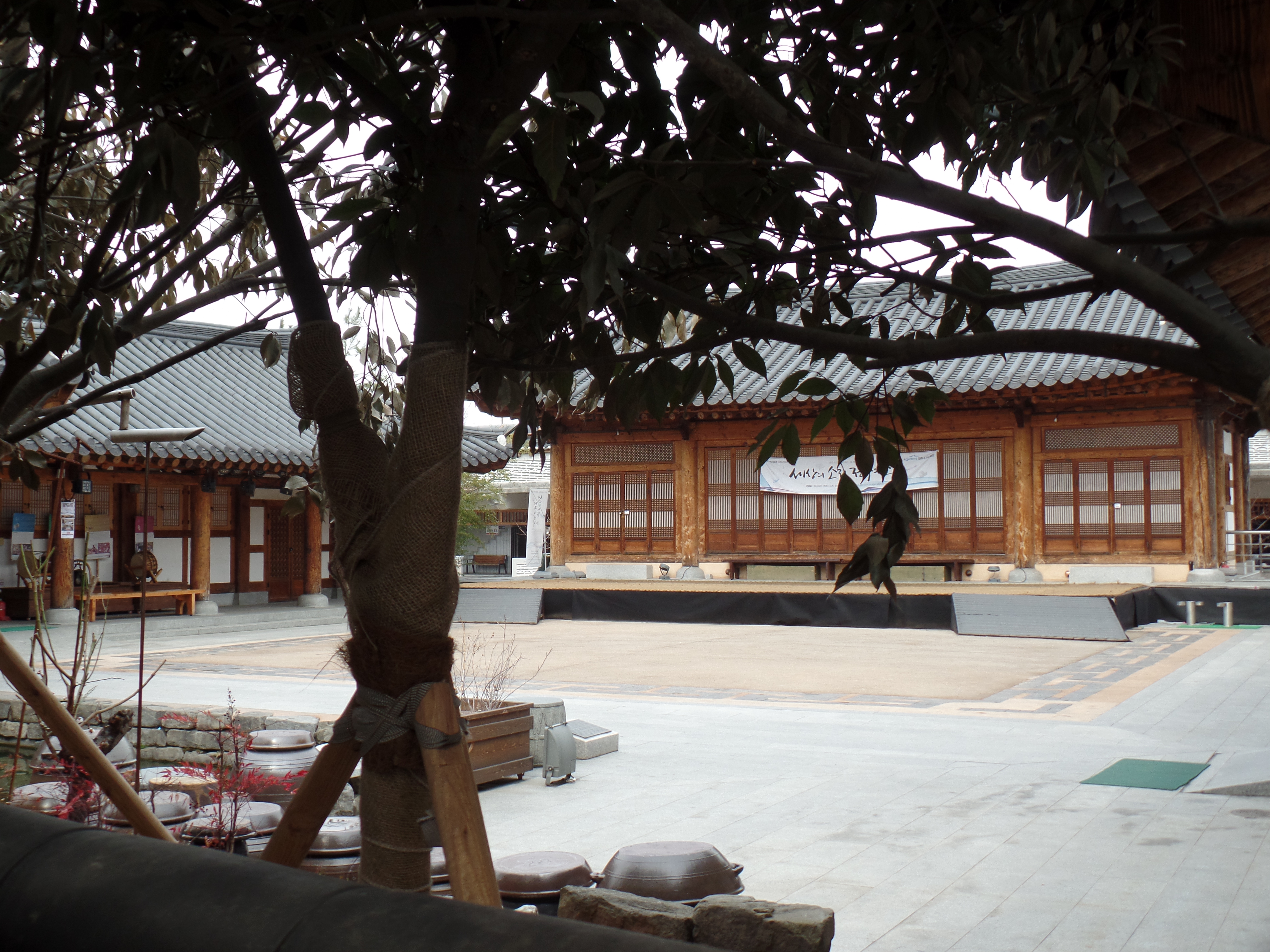 SAMSUNG CAMERA PICTURES