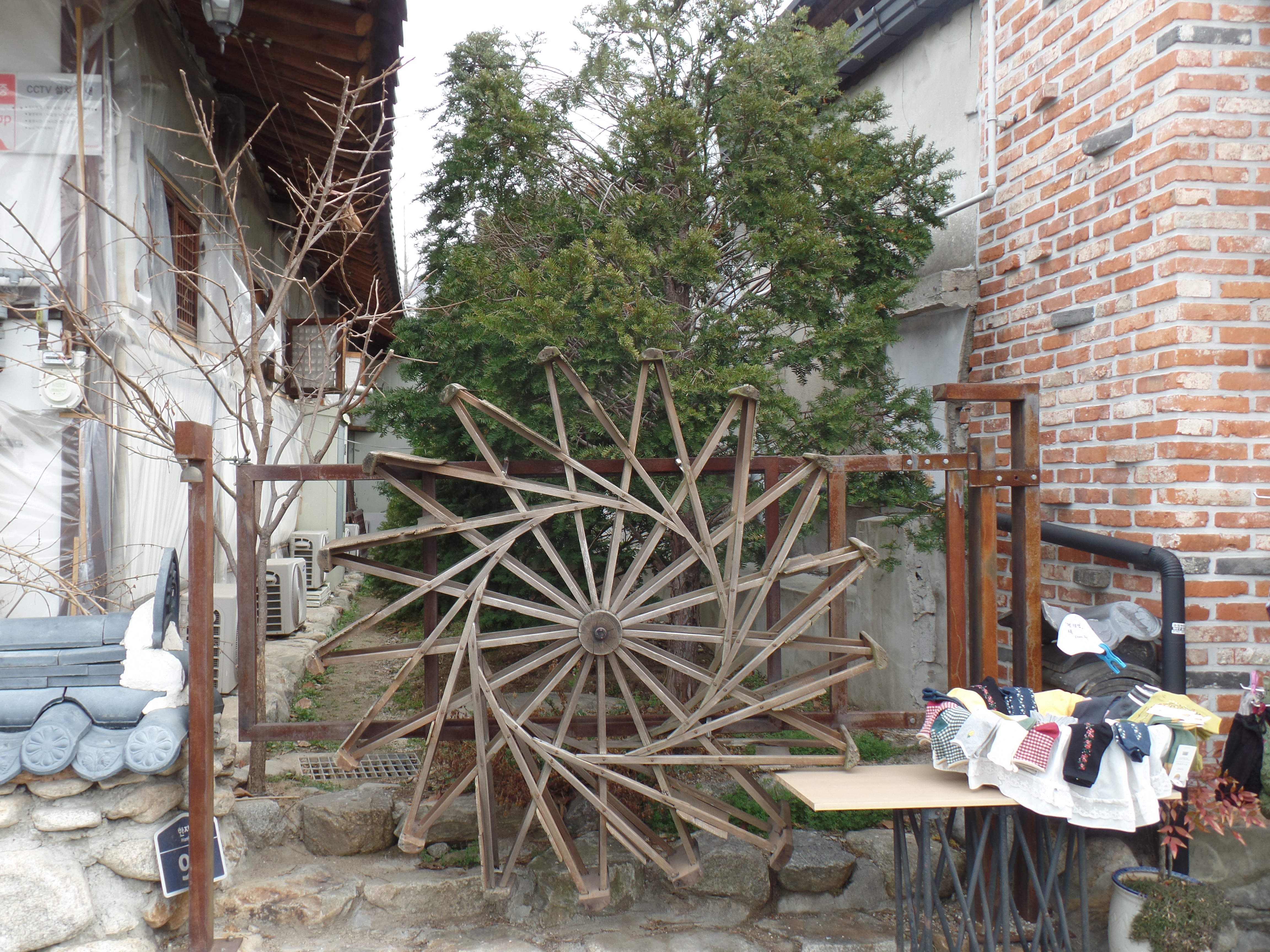 SAMSUNG CAMERA PICTURES