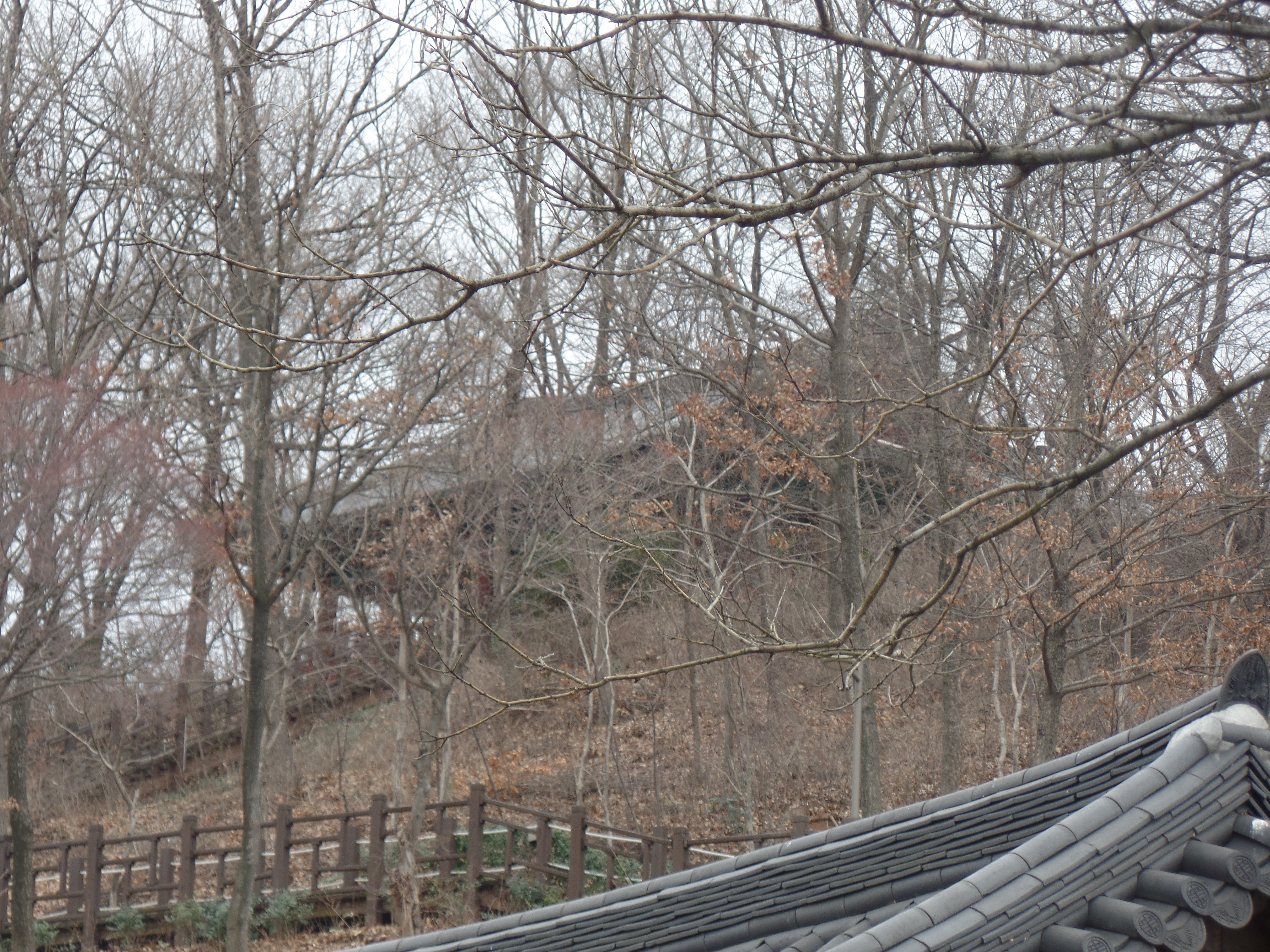 SAMSUNG CAMERA PICTURES