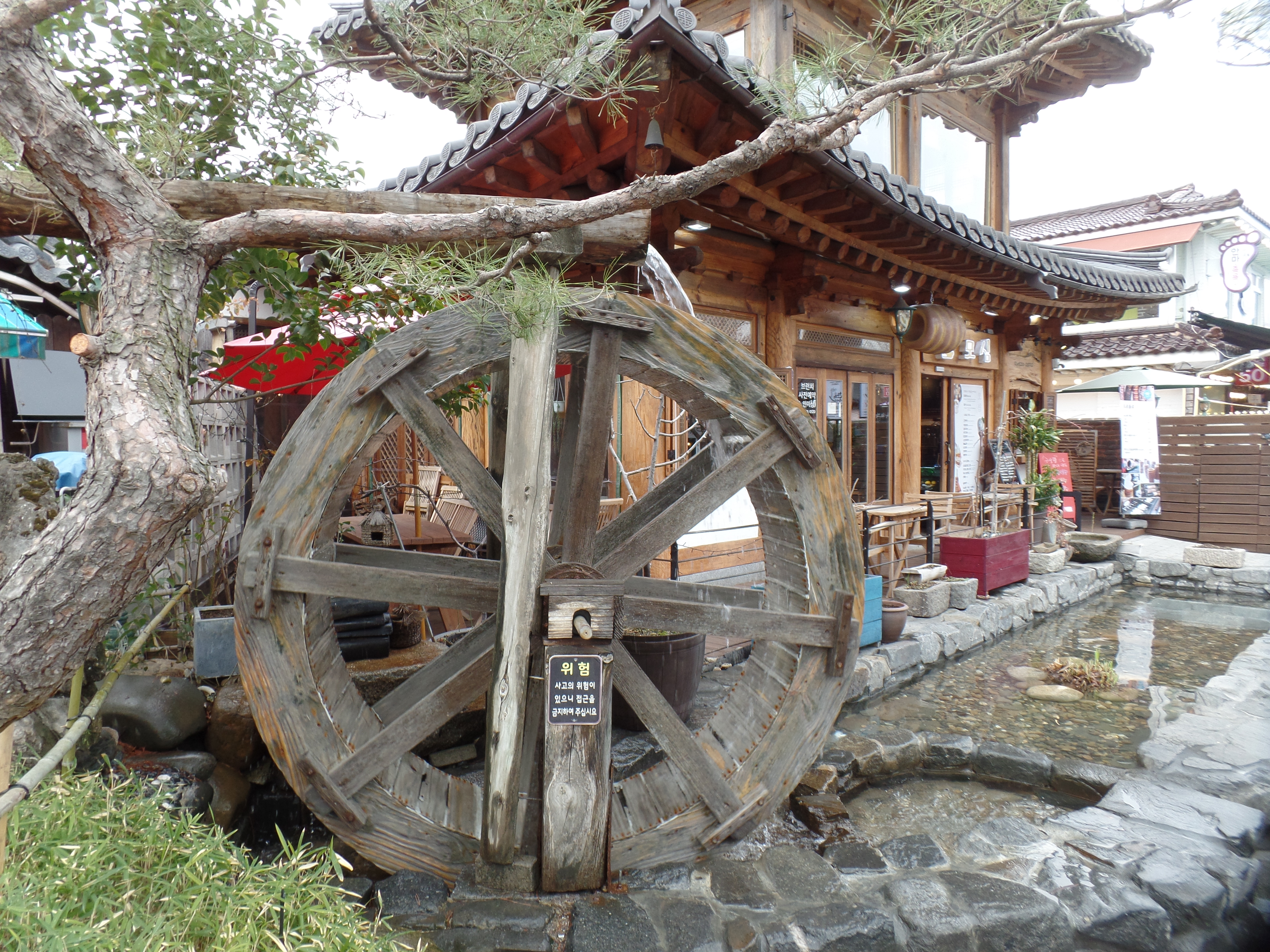 SAMSUNG CAMERA PICTURES