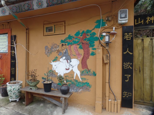 SAMSUNG CAMERA PICTURES