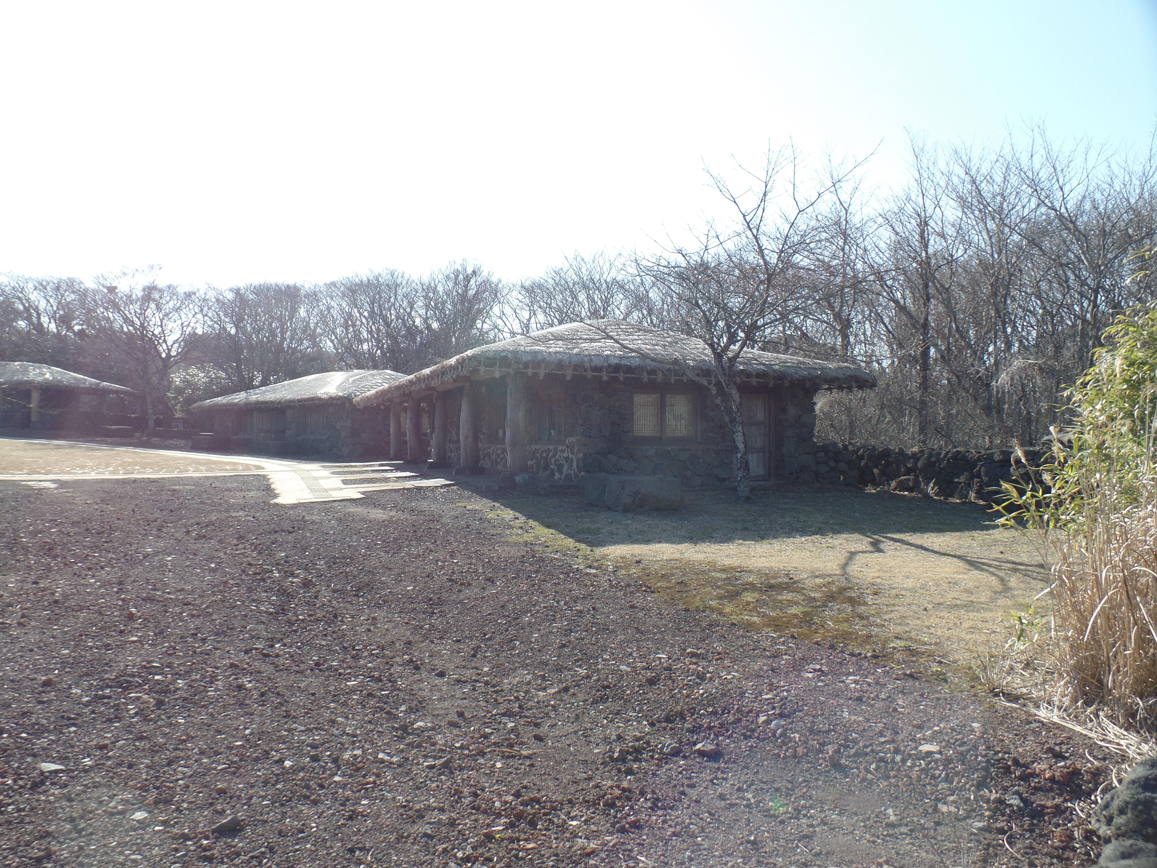 SAMSUNG CAMERA PICTURES