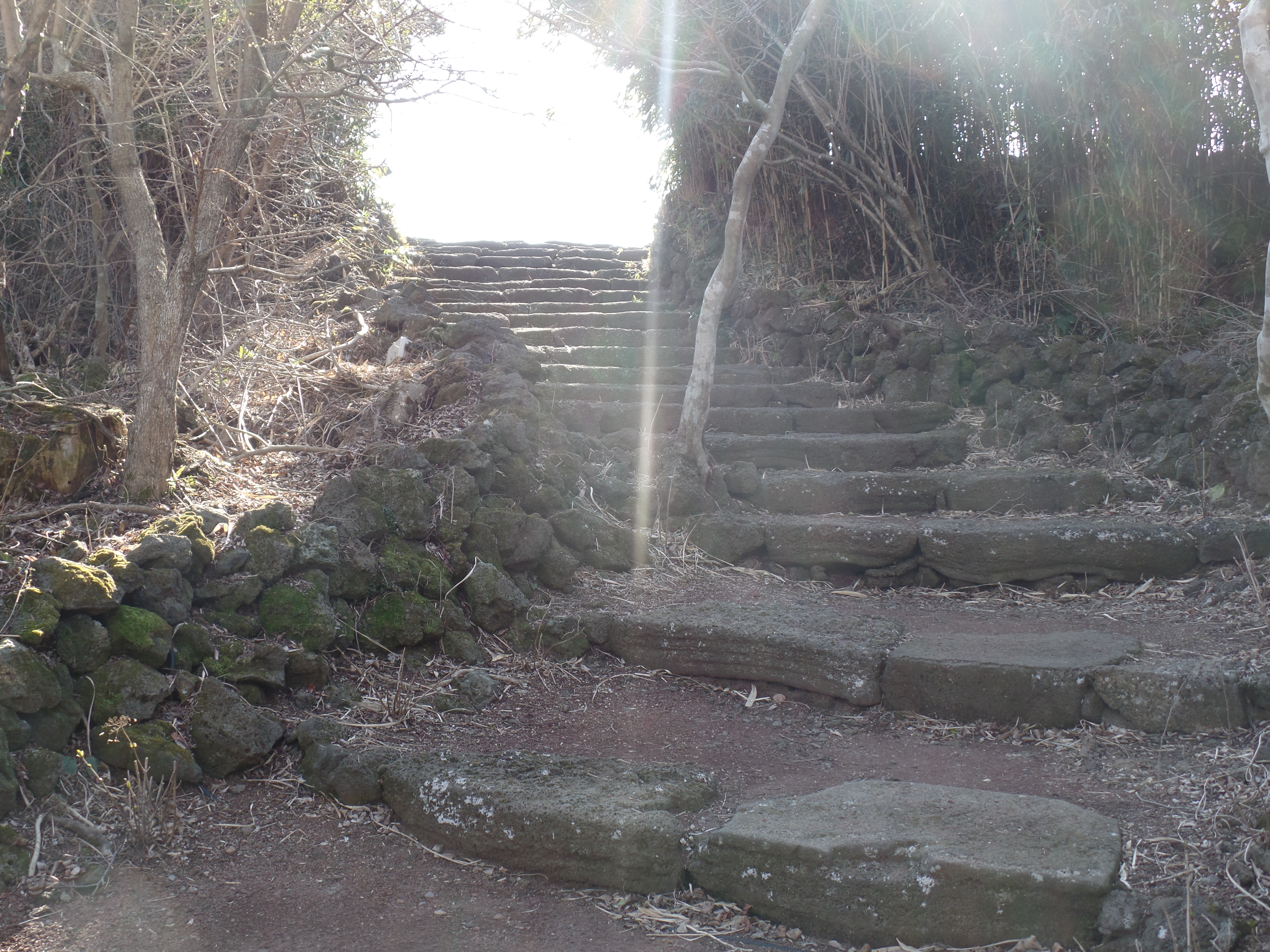 SAMSUNG CAMERA PICTURES