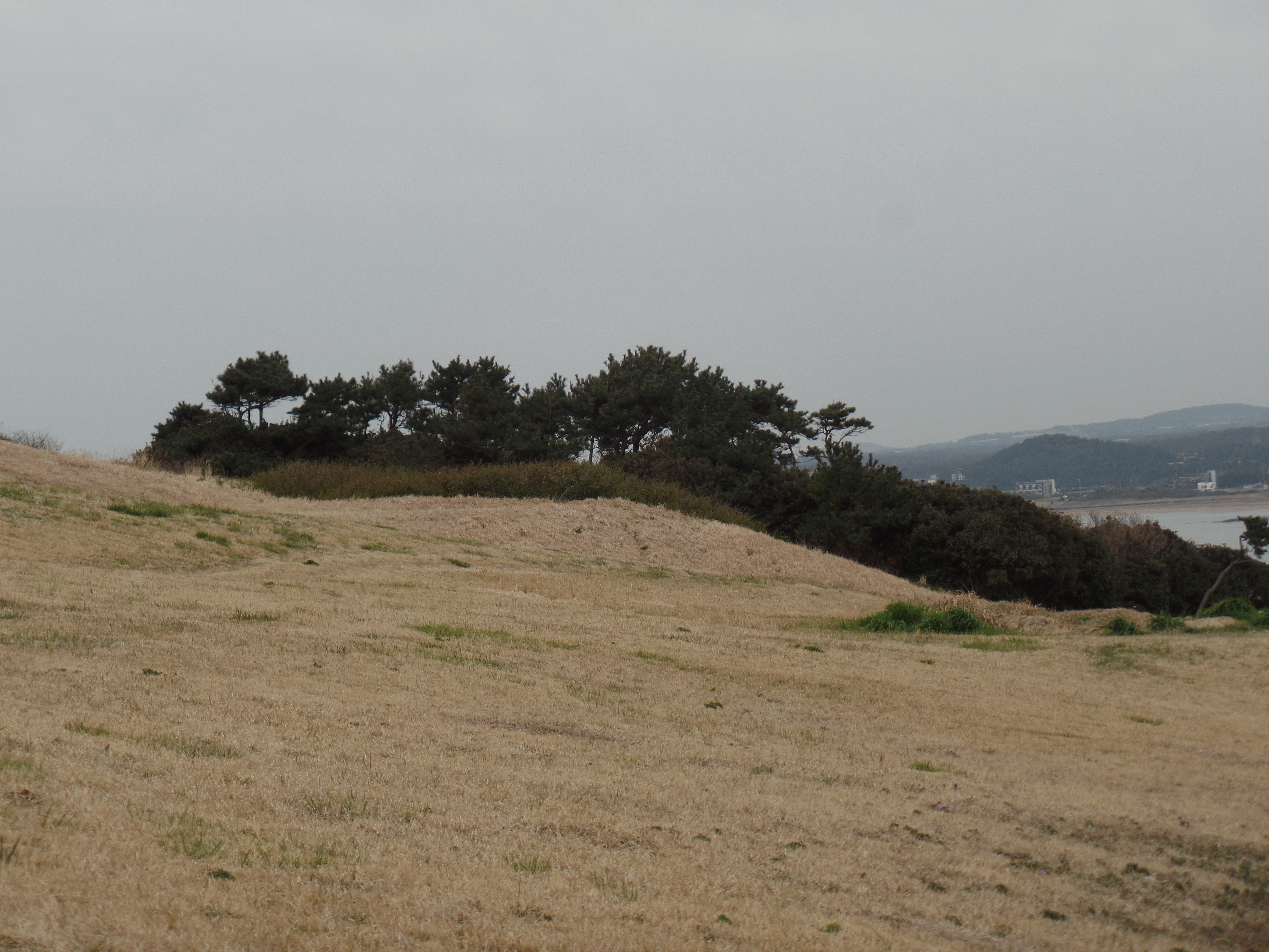 SAMSUNG CAMERA PICTURES