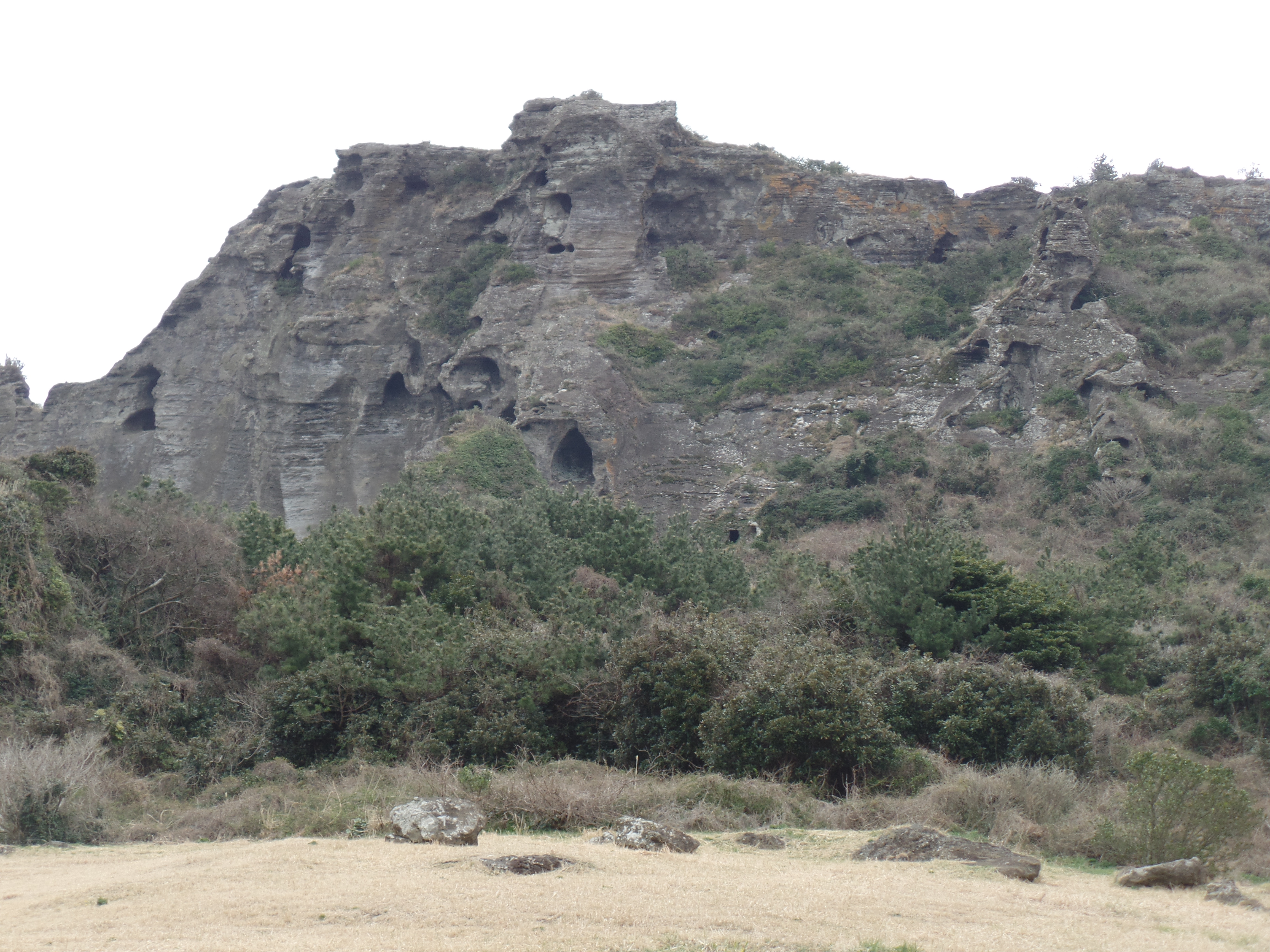 SAMSUNG CAMERA PICTURES