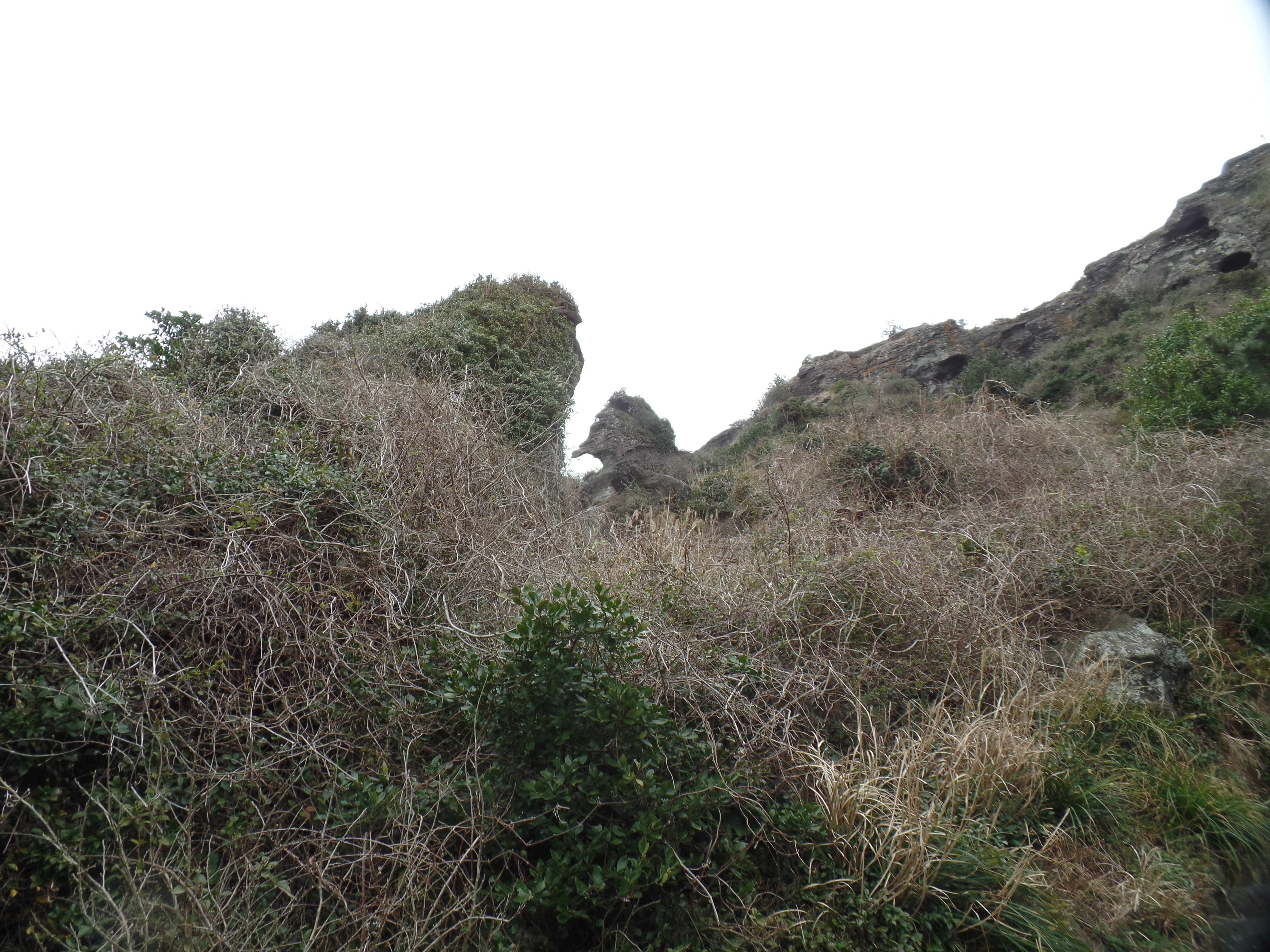 SAMSUNG CAMERA PICTURES