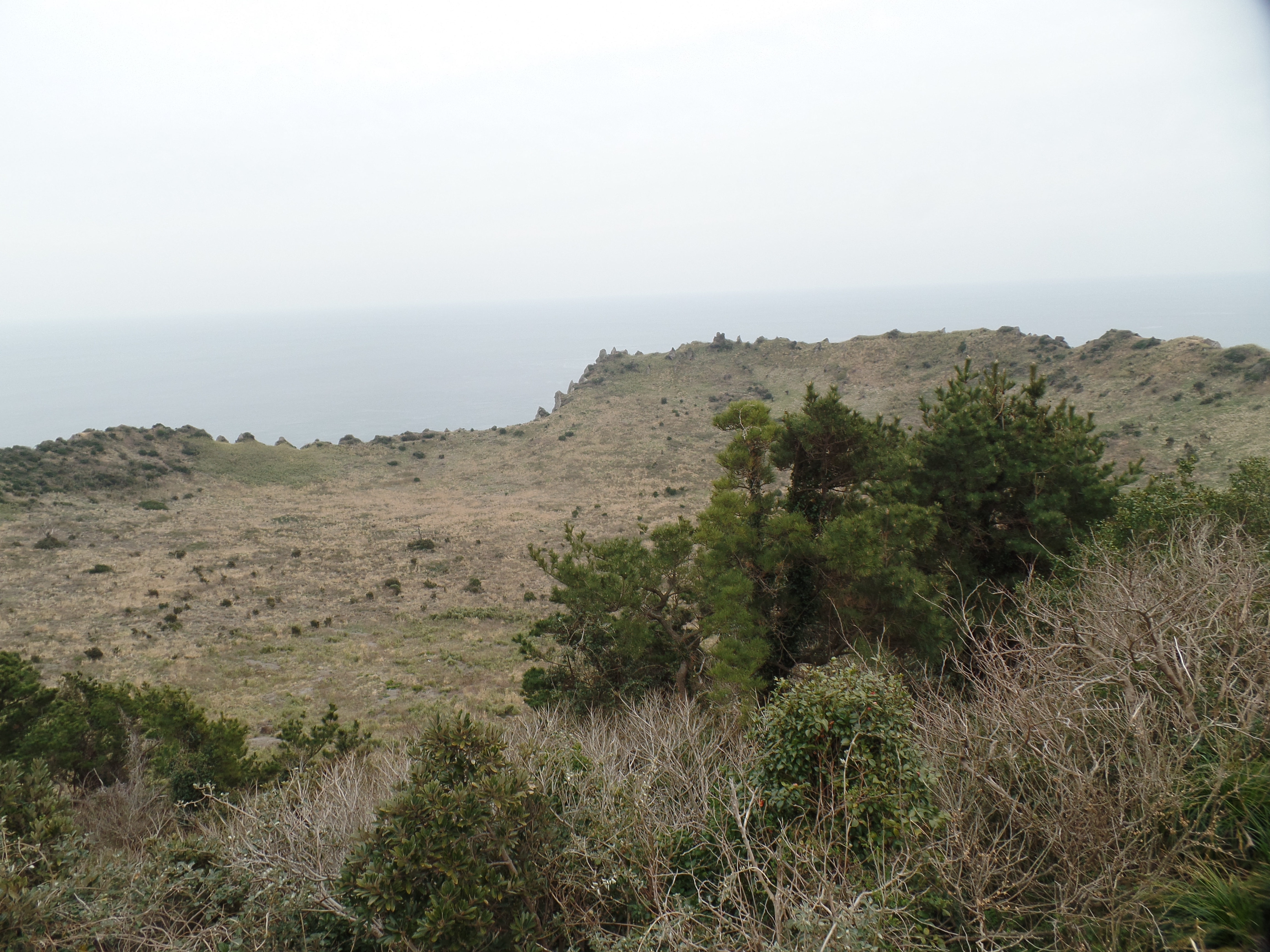 SAMSUNG CAMERA PICTURES