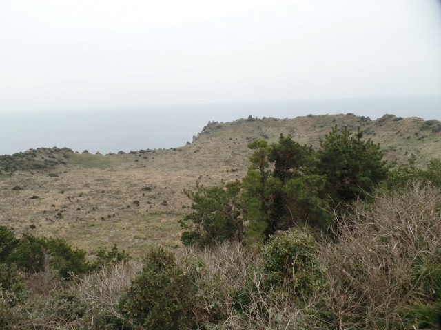 SAMSUNG CAMERA PICTURES