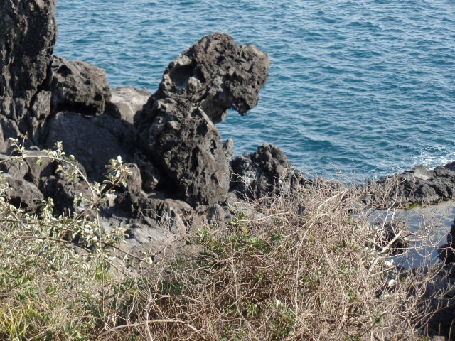 SAMSUNG CAMERA PICTURES