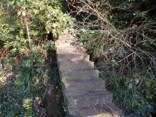 SAMSUNG CAMERA PICTURES