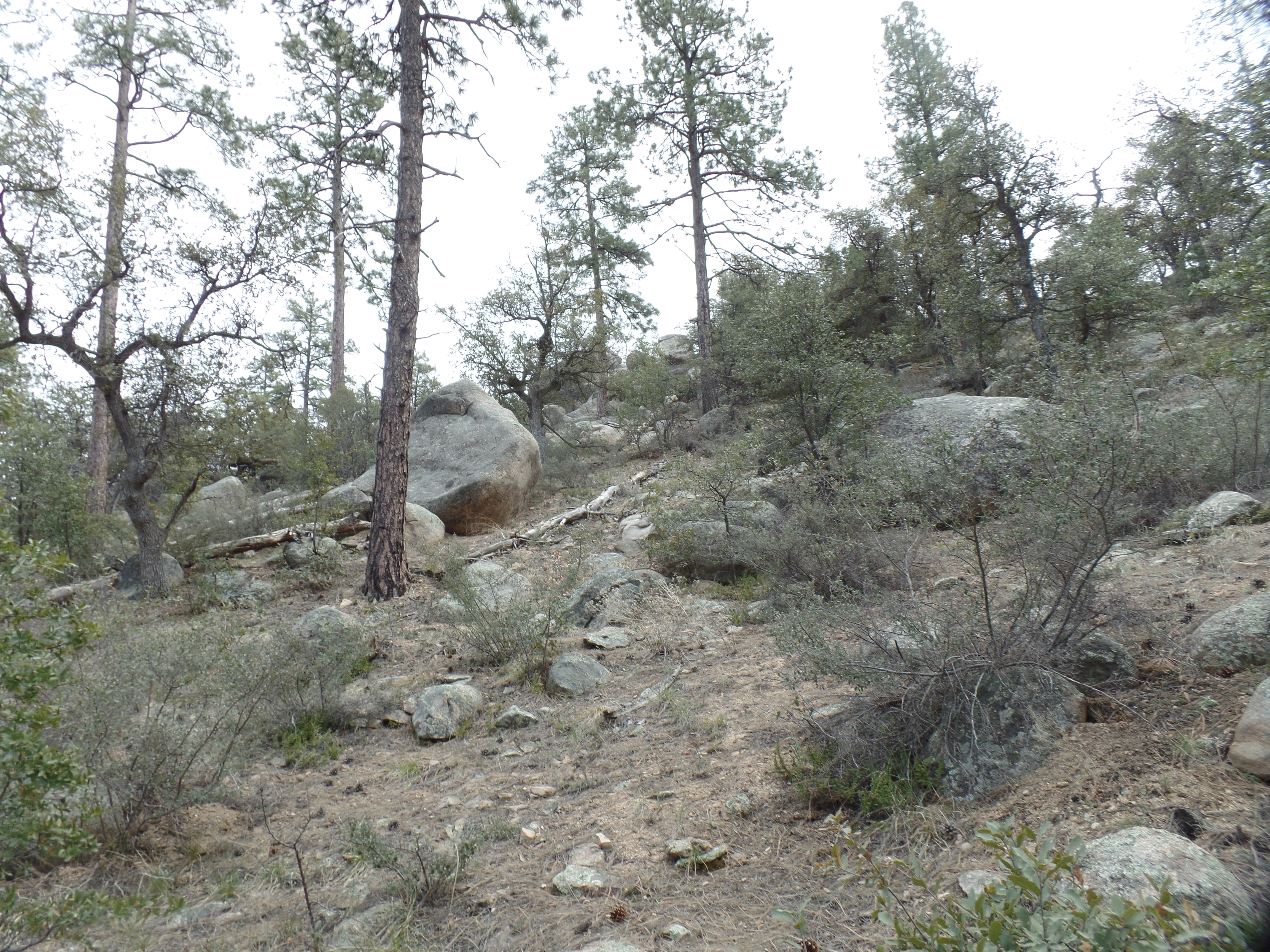 SAMSUNG CAMERA PICTURES