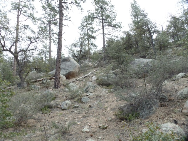 SAMSUNG CAMERA PICTURES