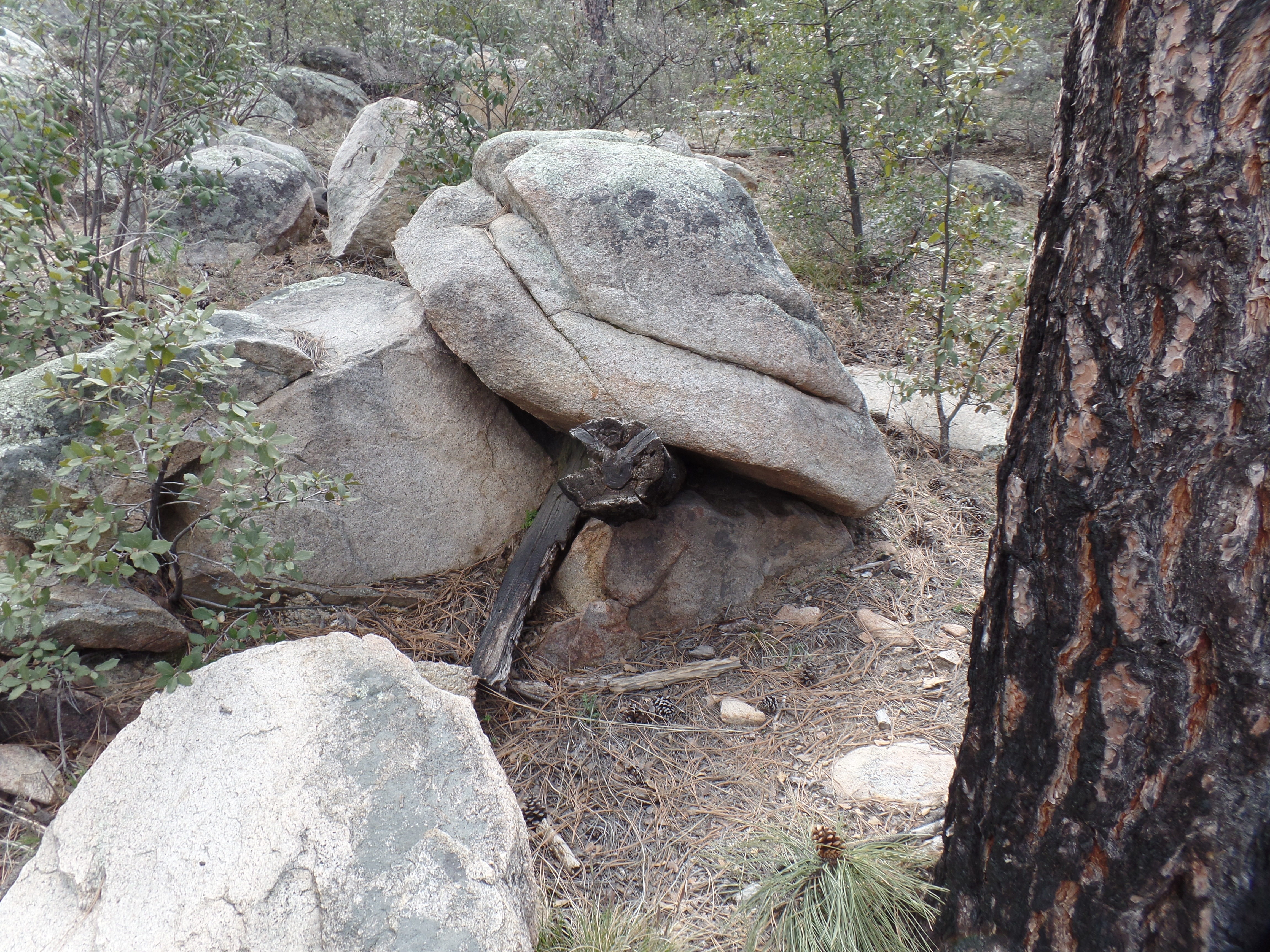 SAMSUNG CAMERA PICTURES