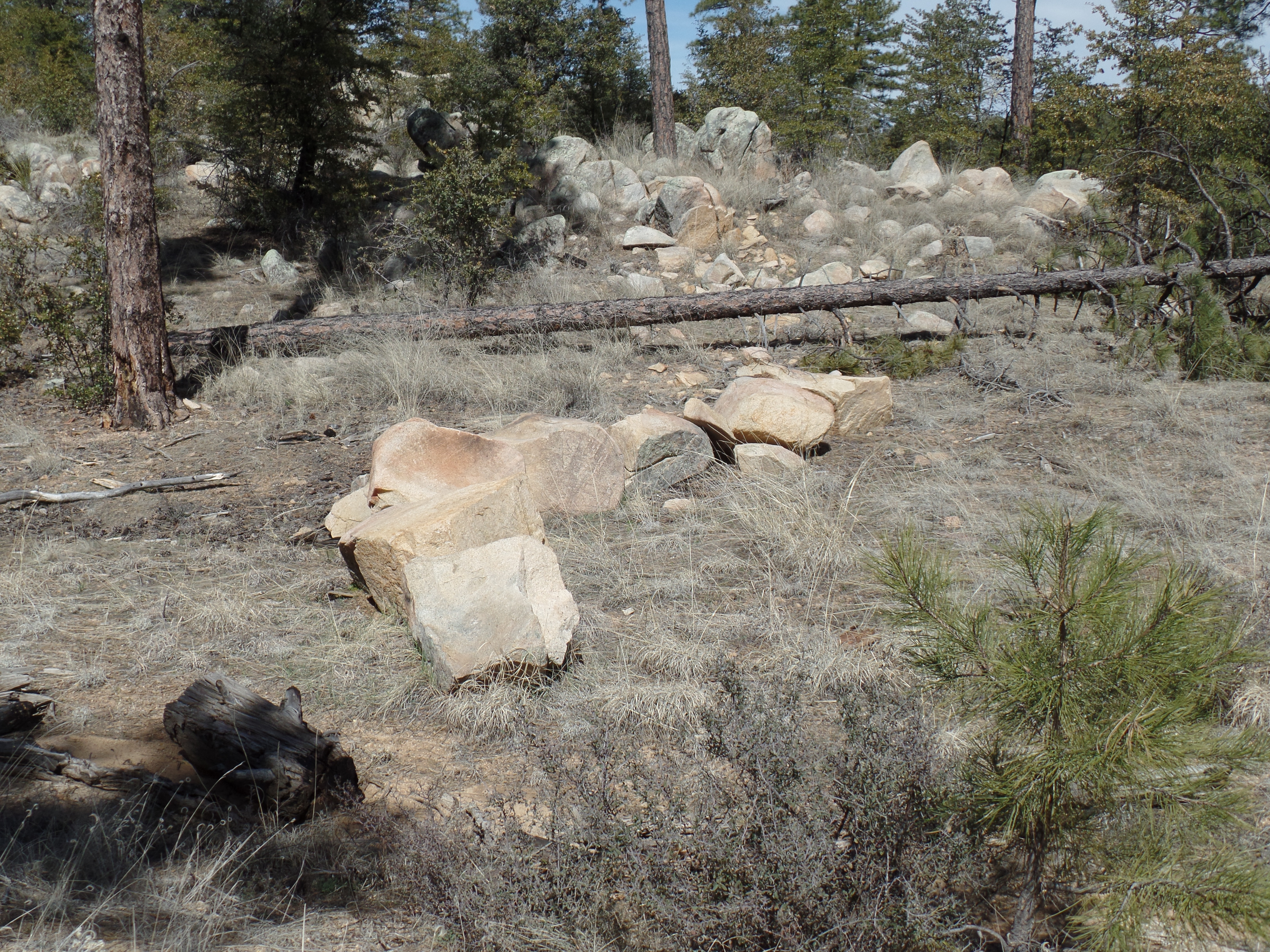 SAMSUNG CAMERA PICTURES