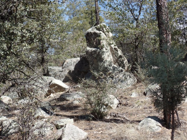 SAMSUNG CAMERA PICTURES