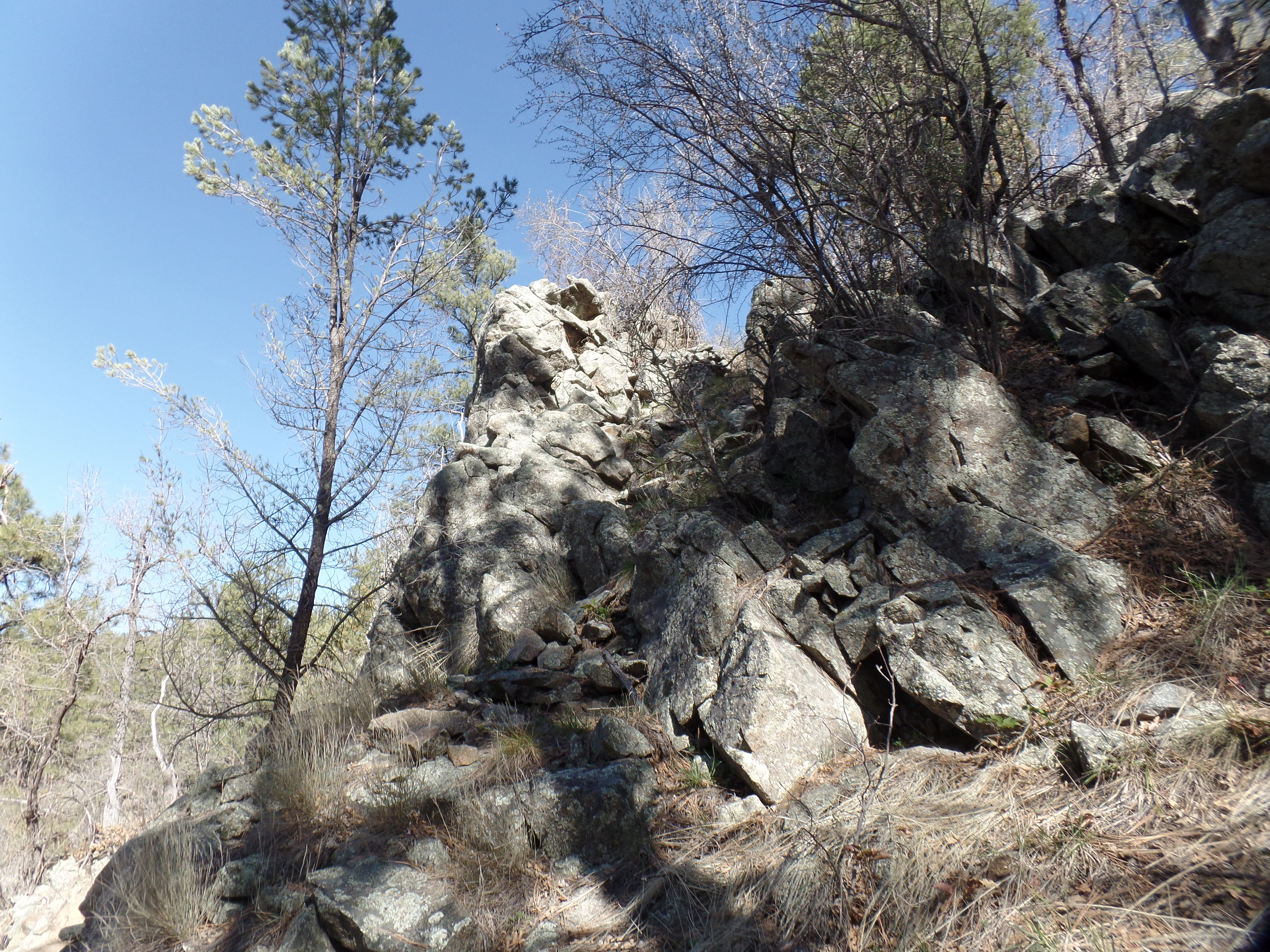 SAMSUNG CAMERA PICTURES