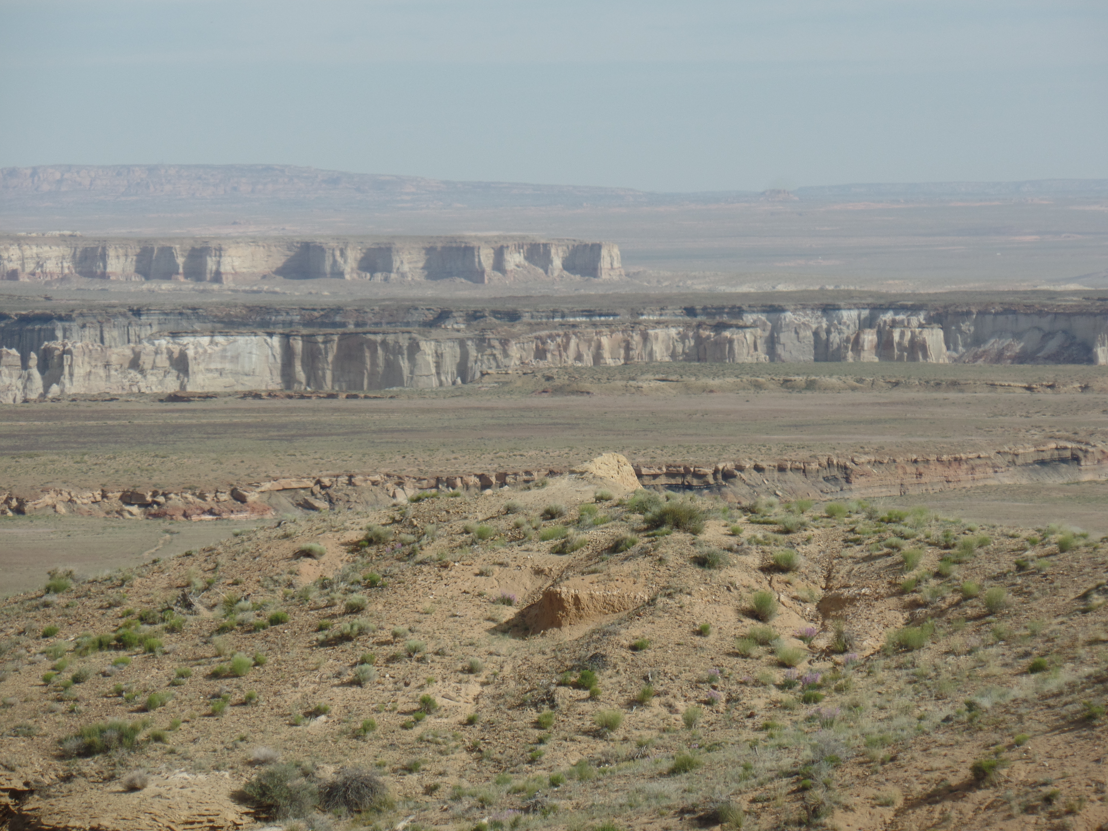 SAMSUNG CAMERA PICTURES