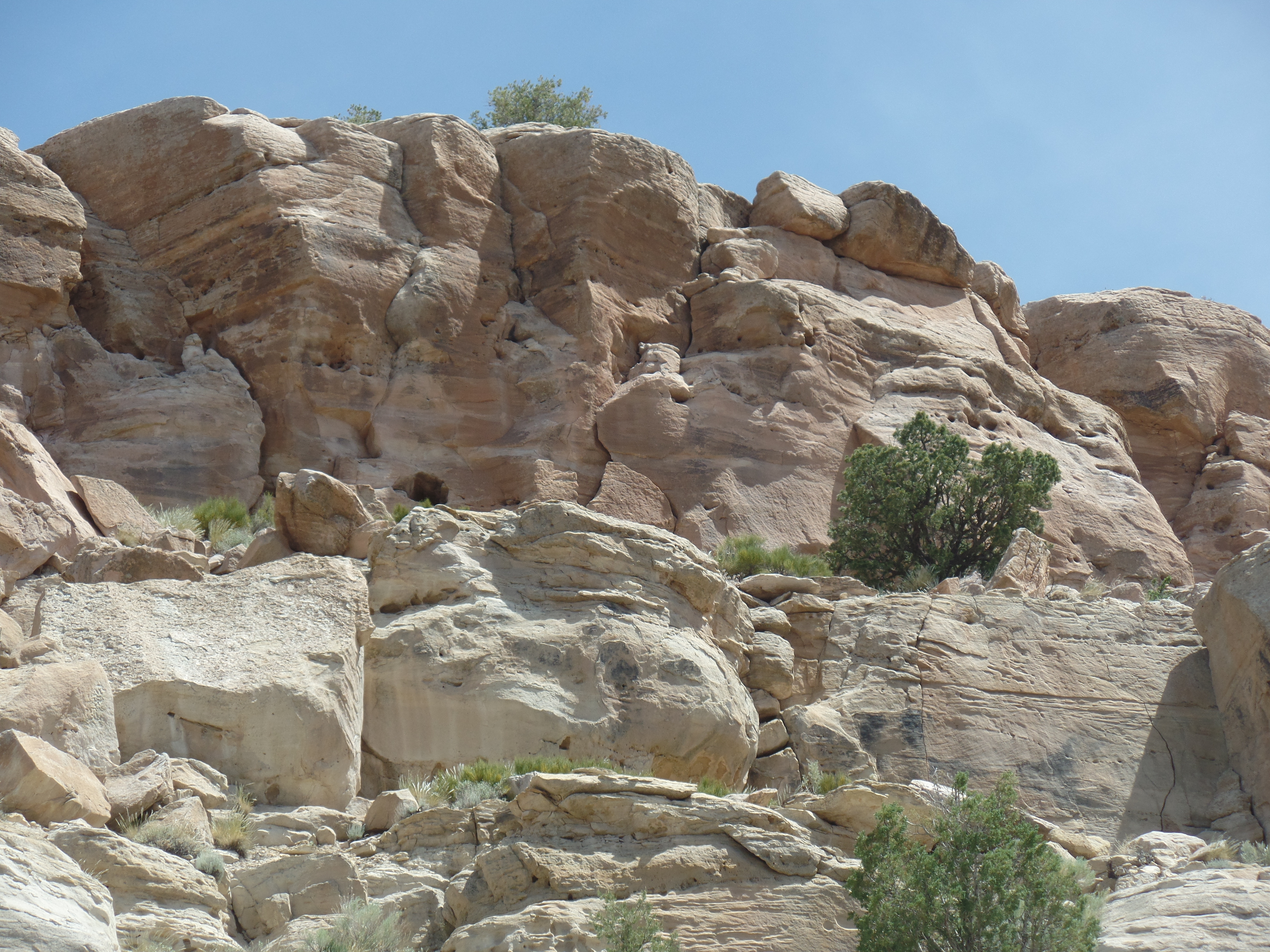 SAMSUNG CAMERA PICTURES