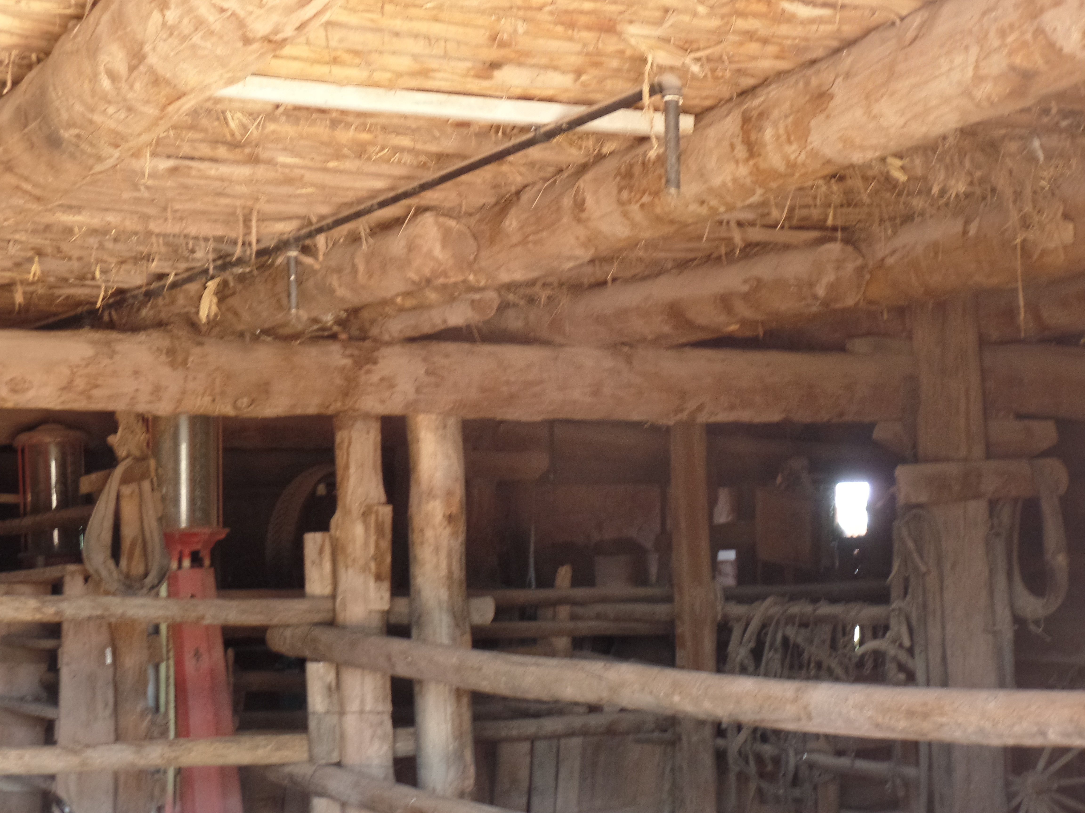 SAMSUNG CAMERA PICTURES