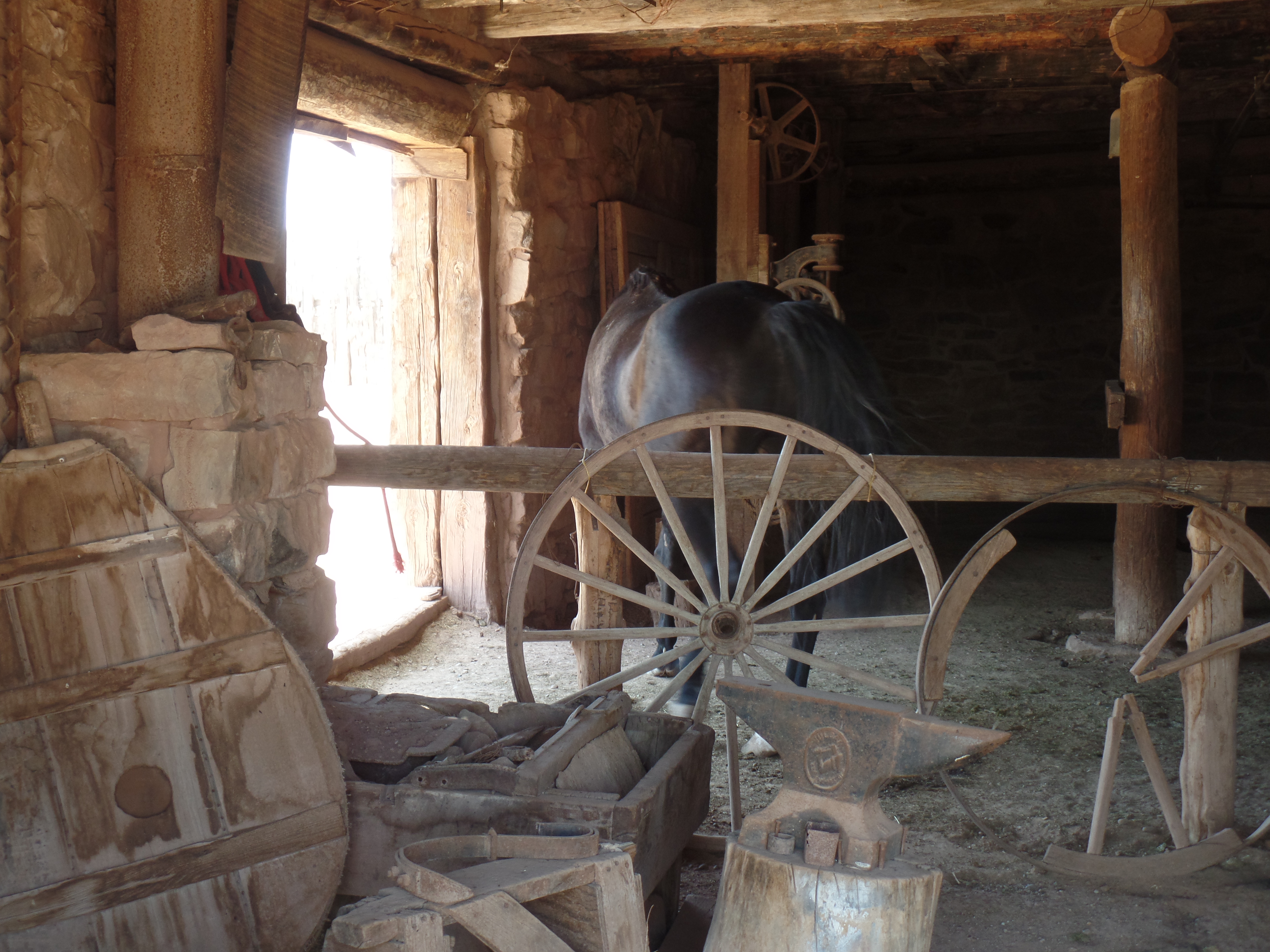 SAMSUNG CAMERA PICTURES