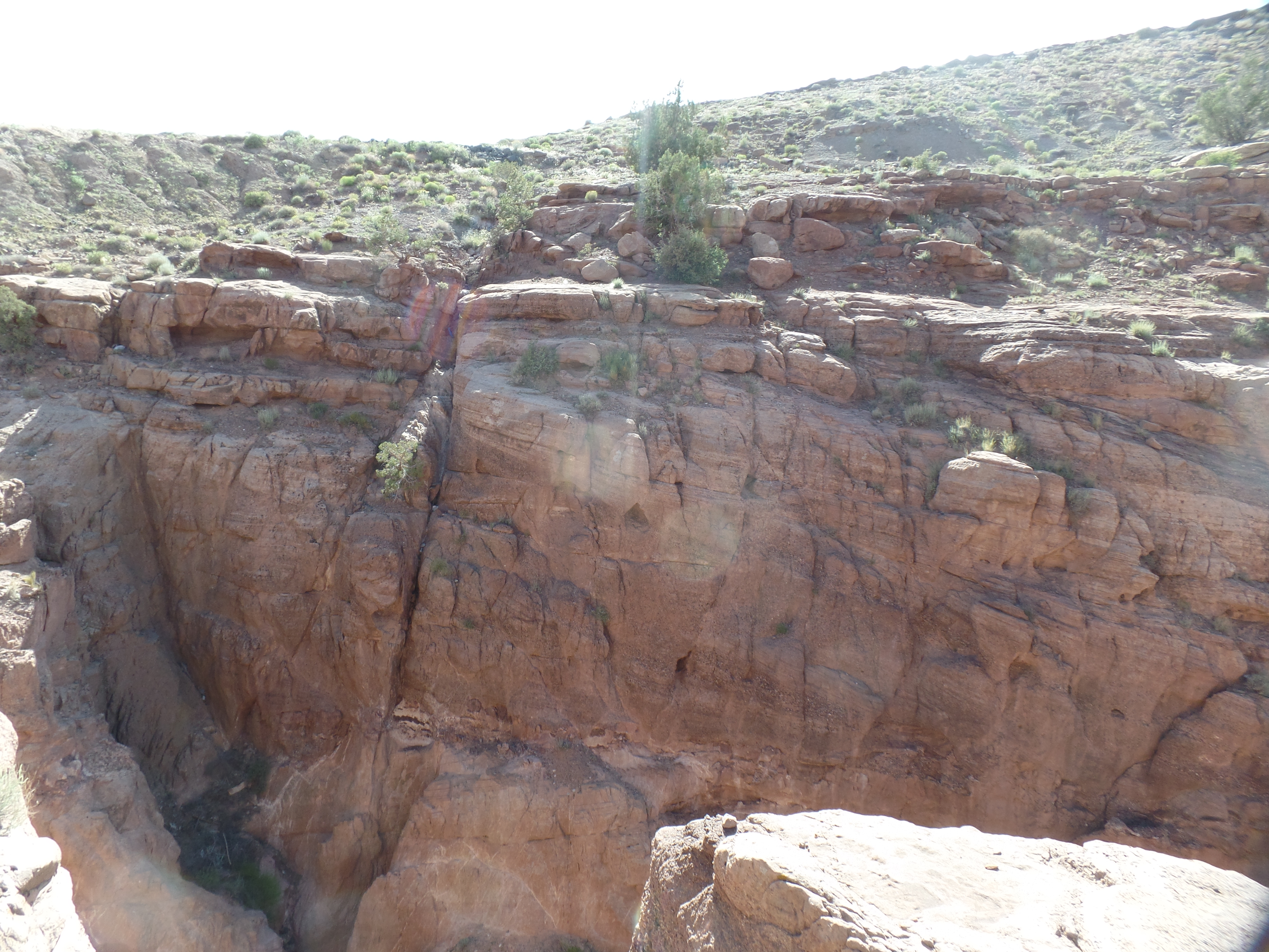 SAMSUNG CAMERA PICTURES