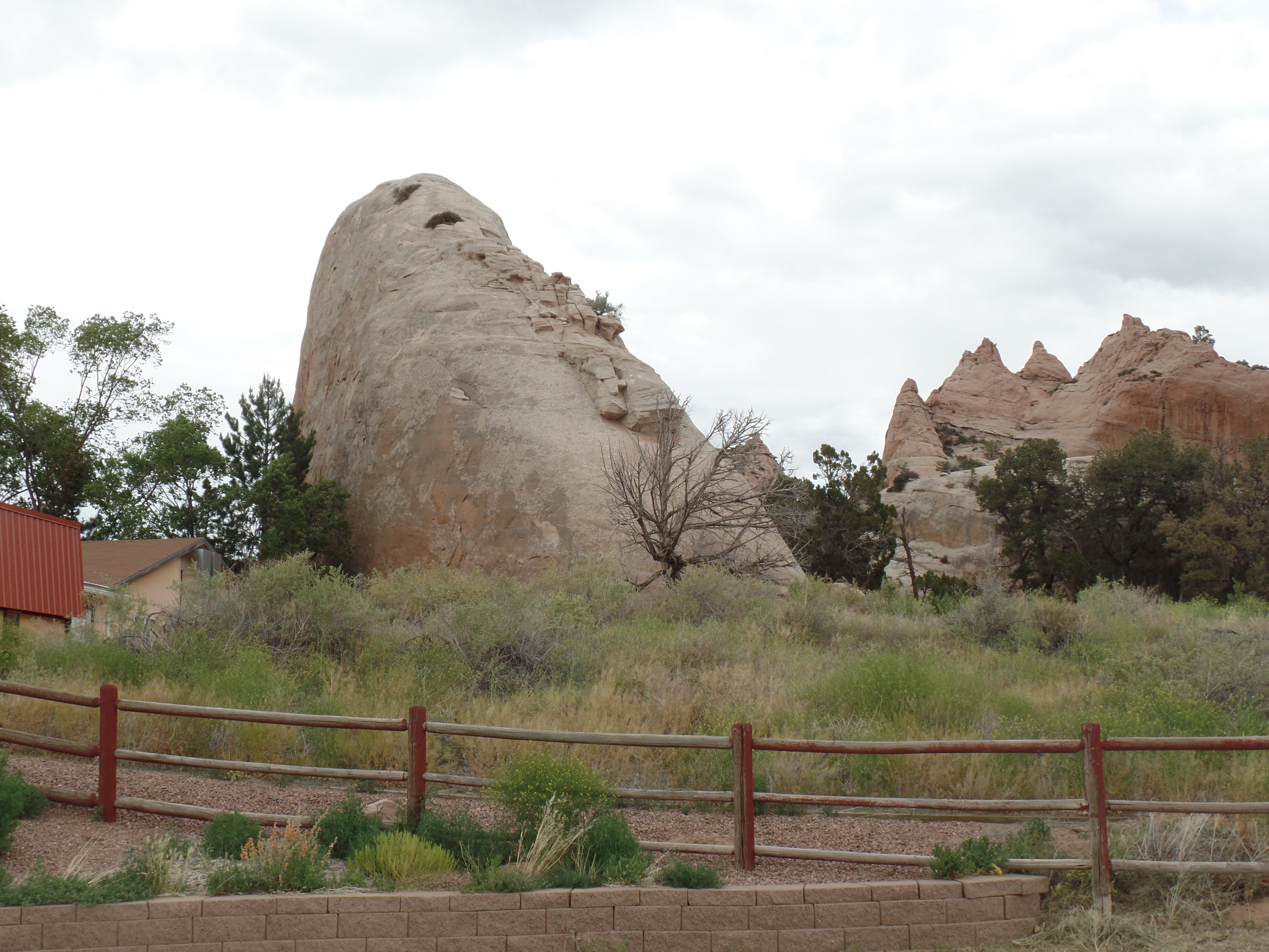 SAMSUNG CAMERA PICTURES