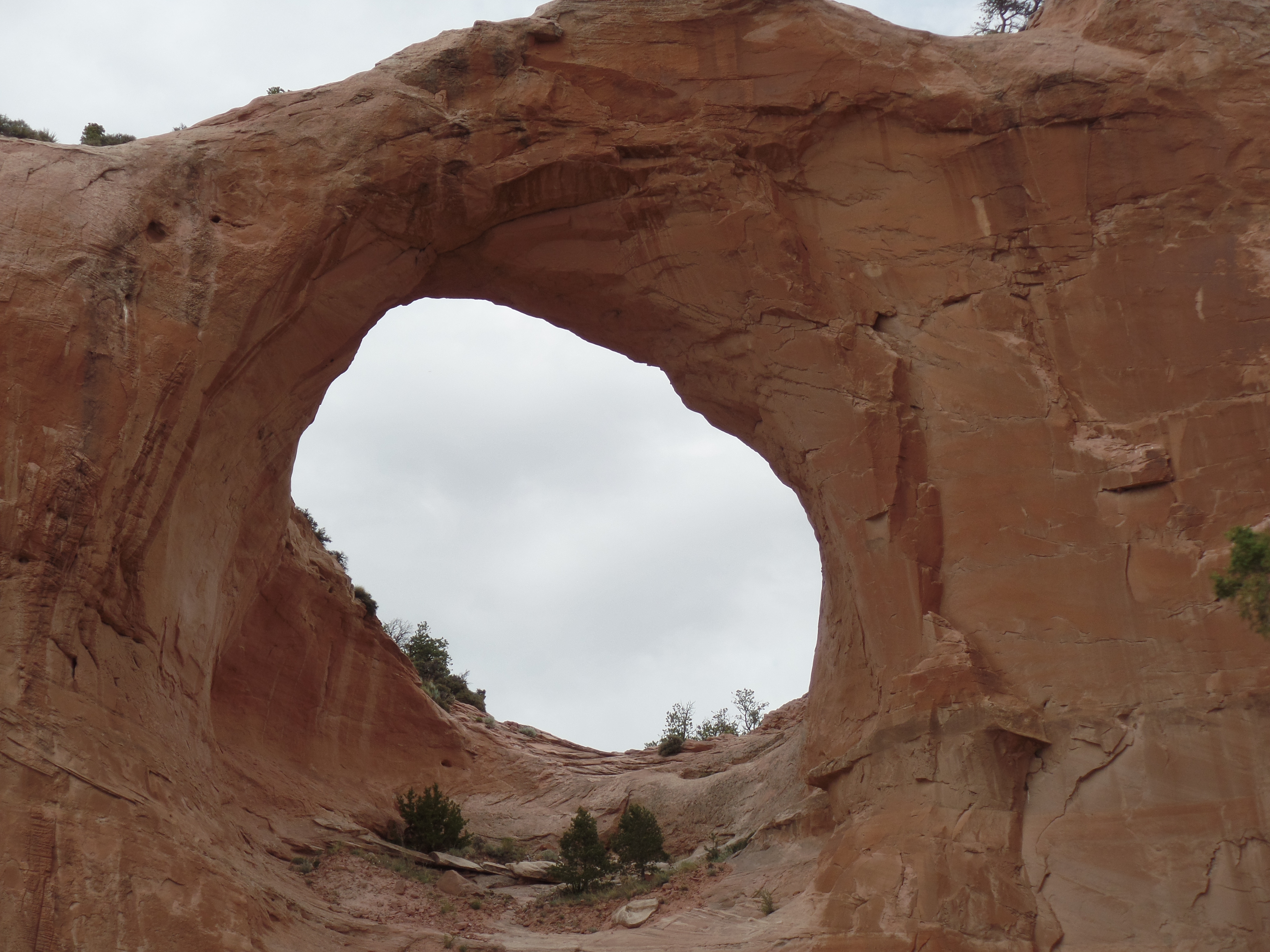 SAMSUNG CAMERA PICTURES