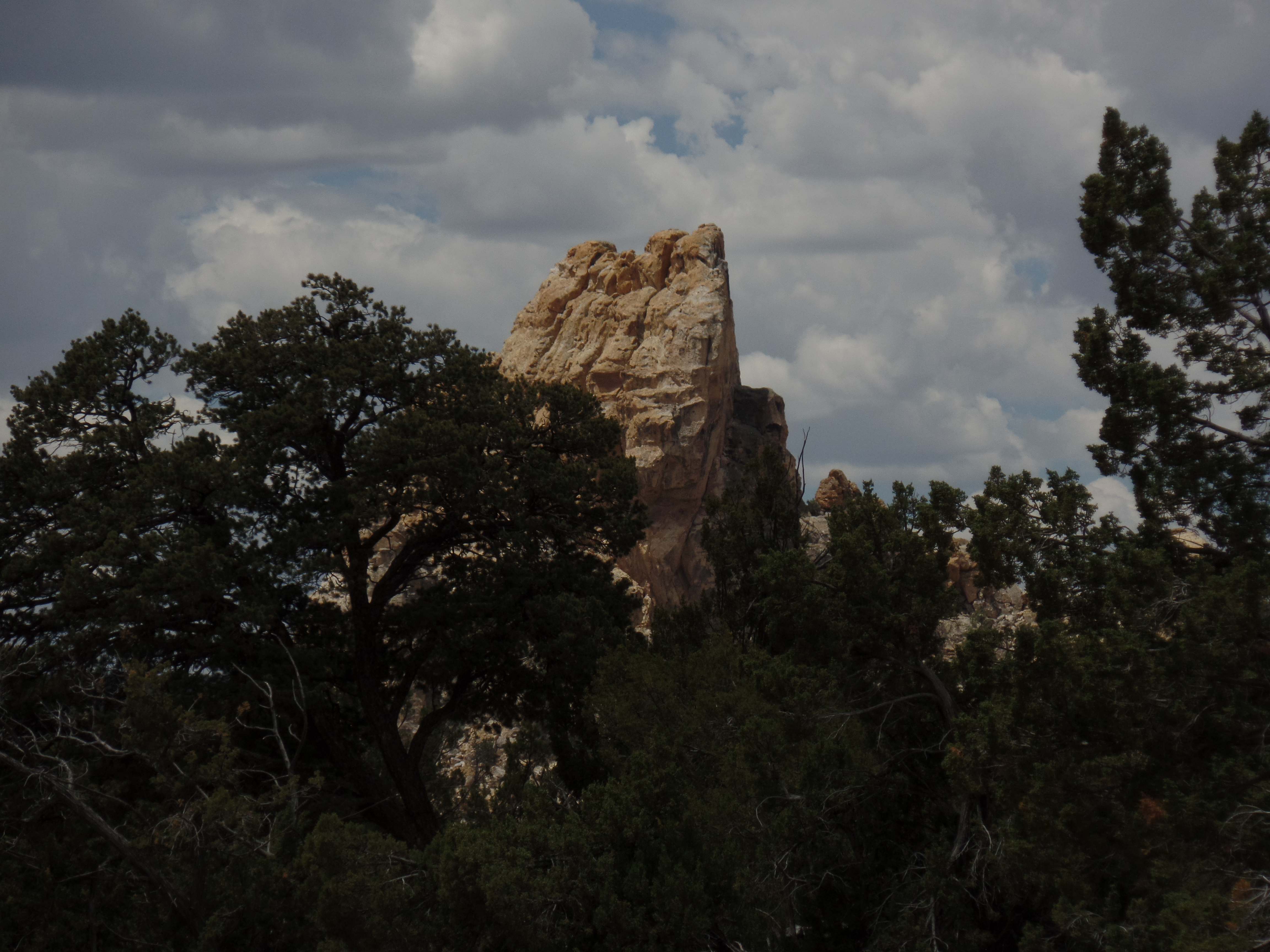 SAMSUNG CAMERA PICTURES