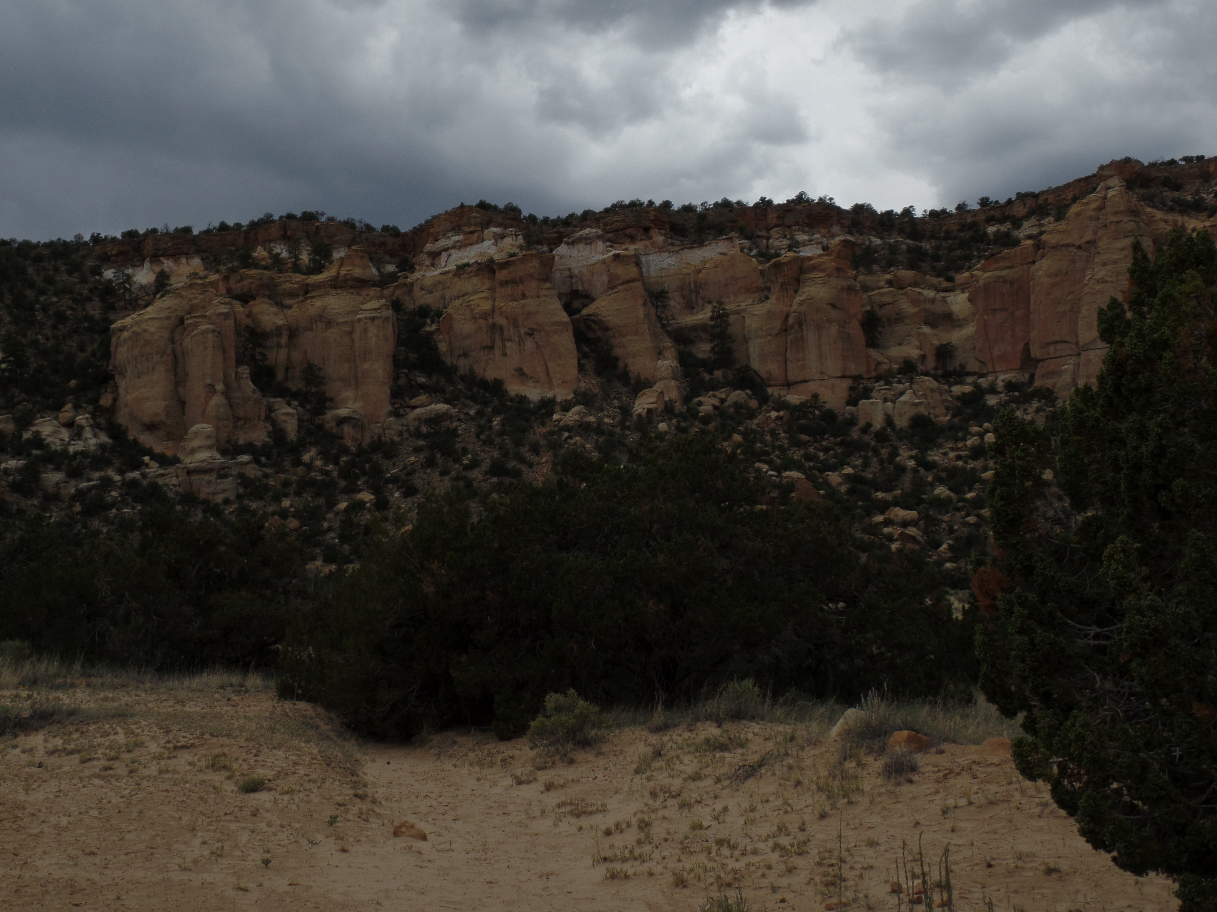 SAMSUNG CAMERA PICTURES