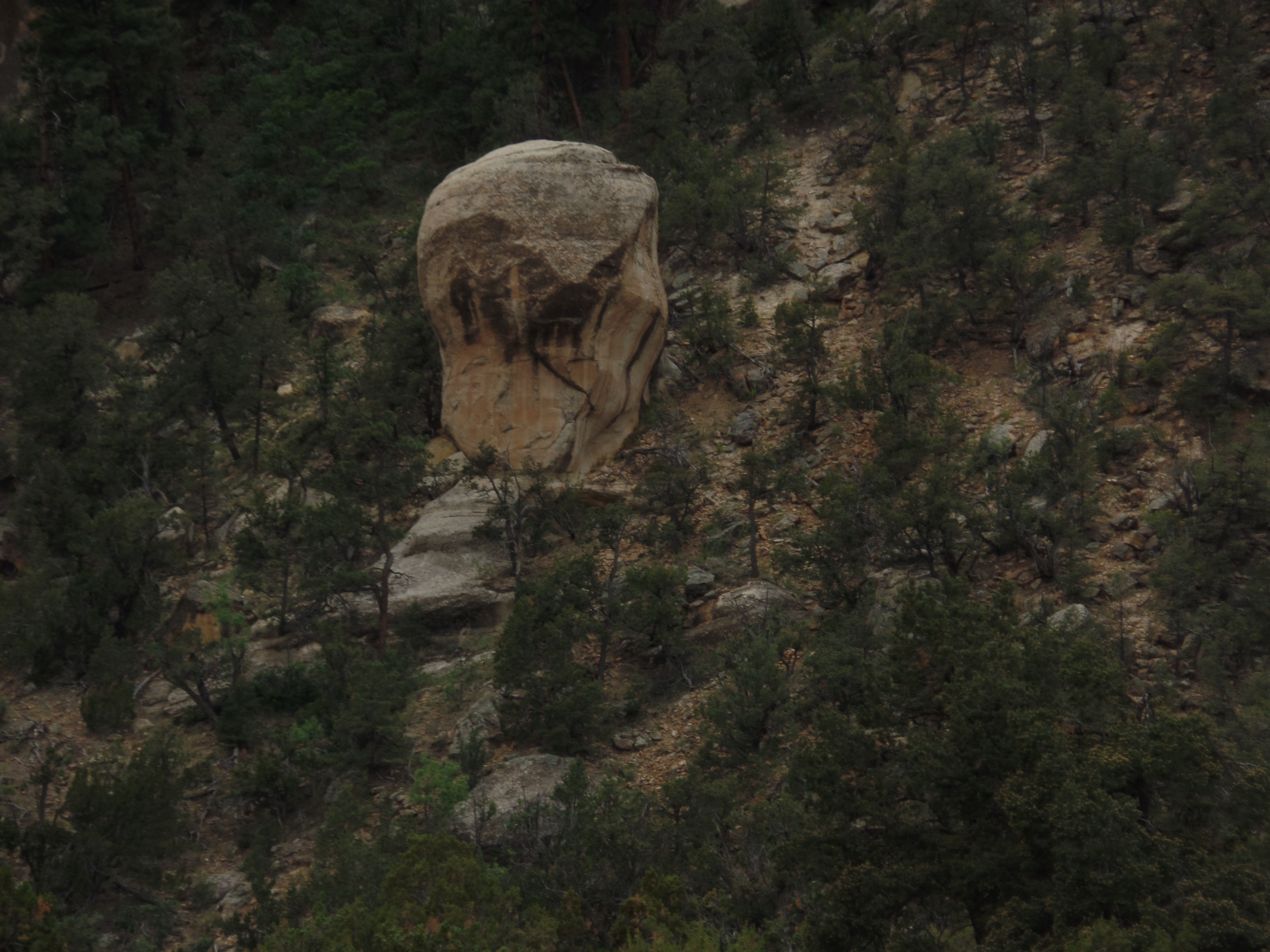 SAMSUNG CAMERA PICTURES