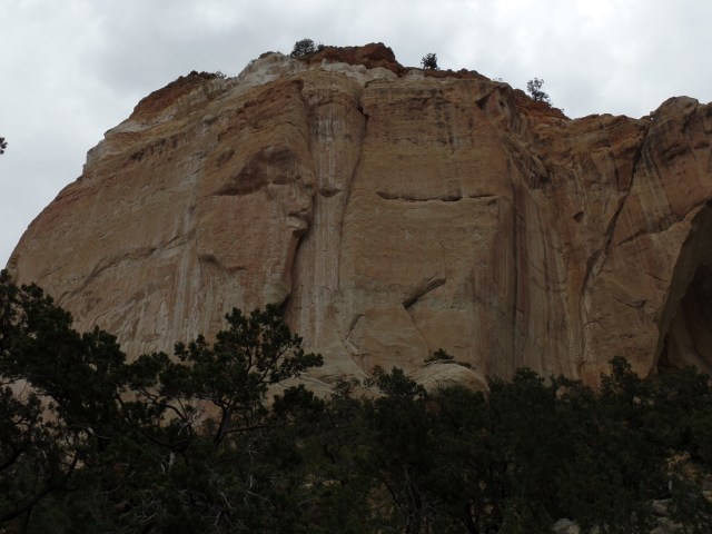 SAMSUNG CAMERA PICTURES