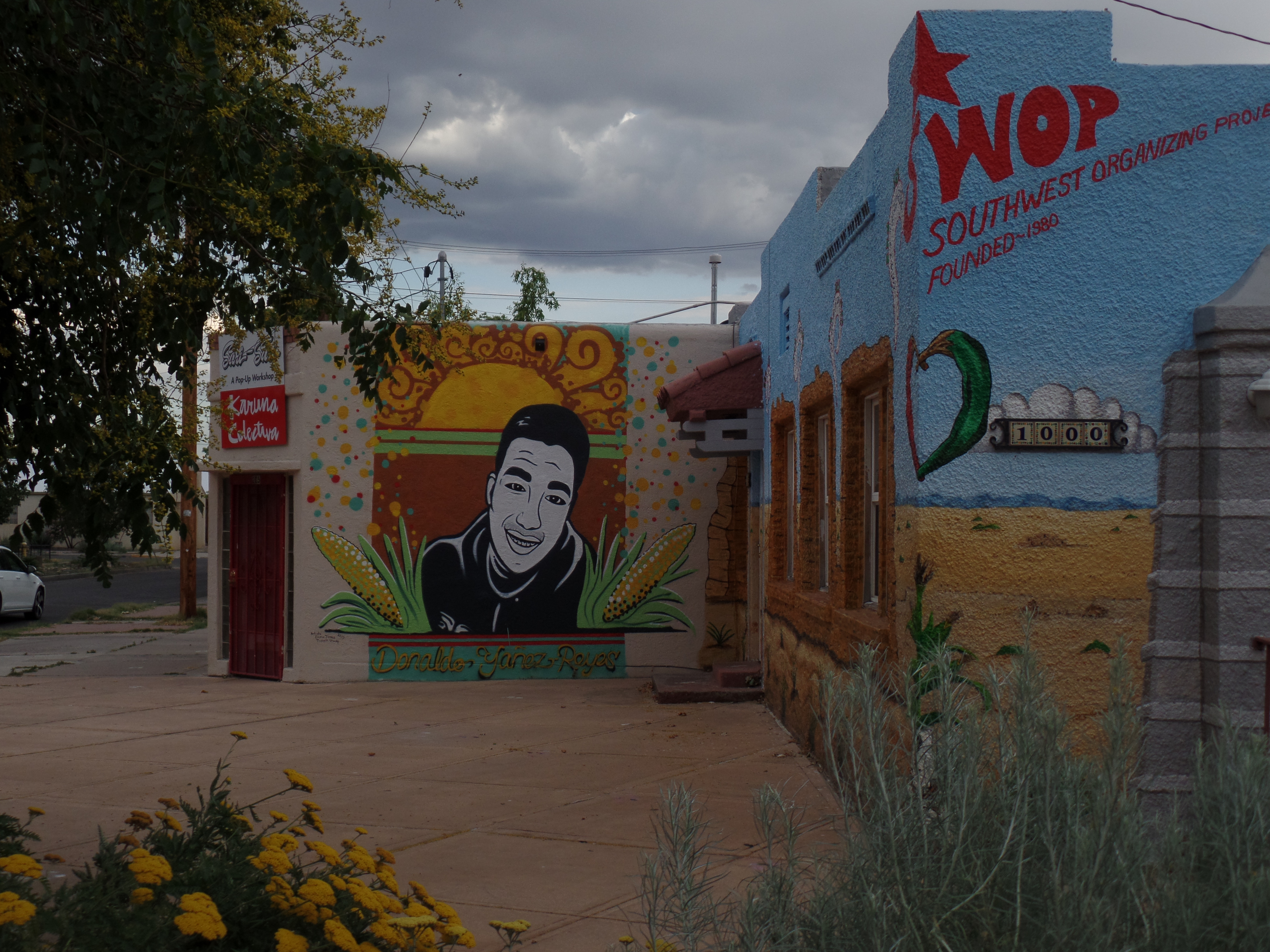 SAMSUNG CAMERA PICTURES