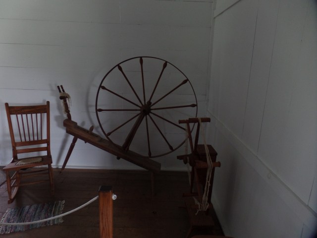 SAMSUNG CAMERA PICTURES