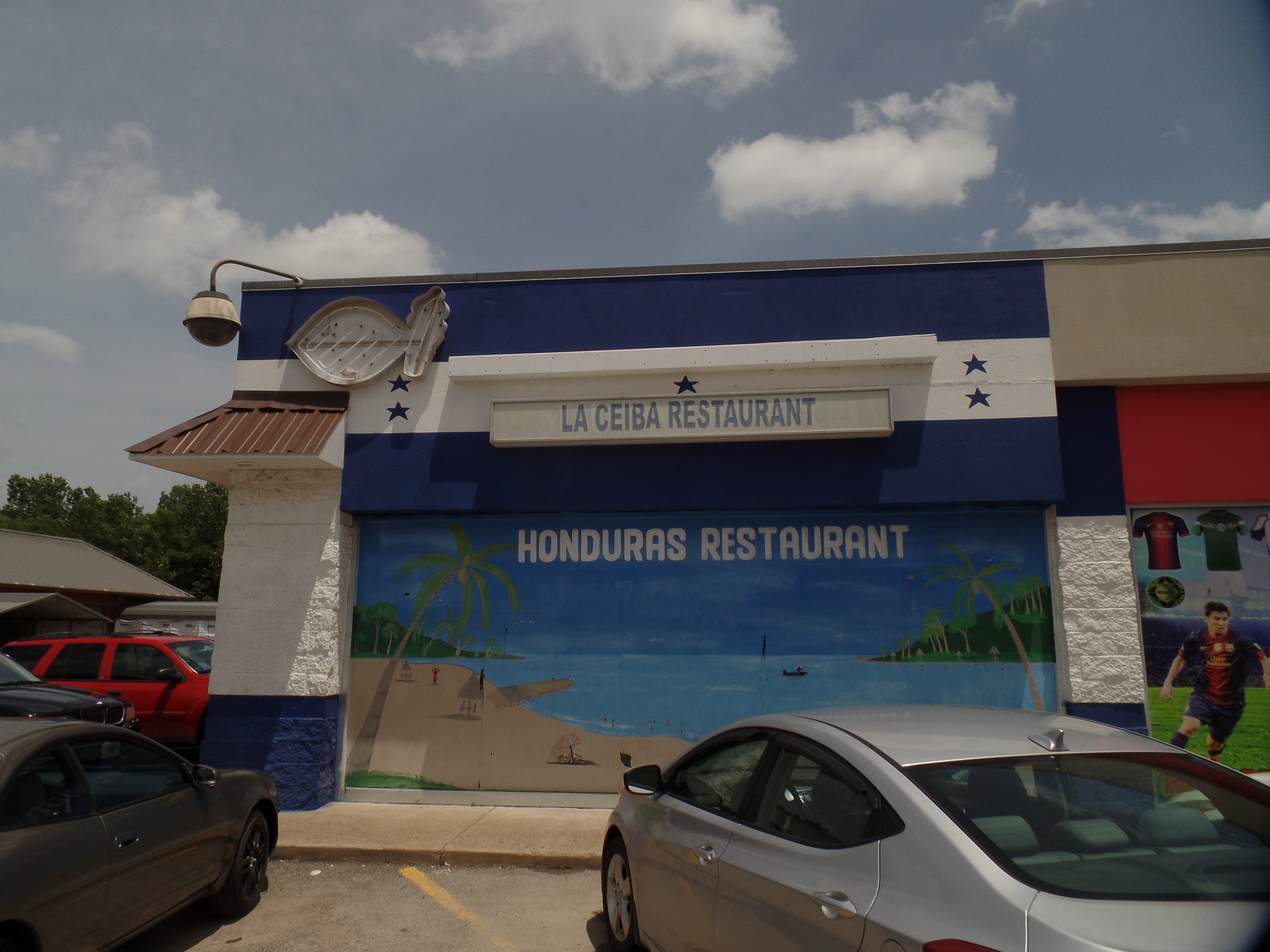 SAMSUNG CAMERA PICTURES