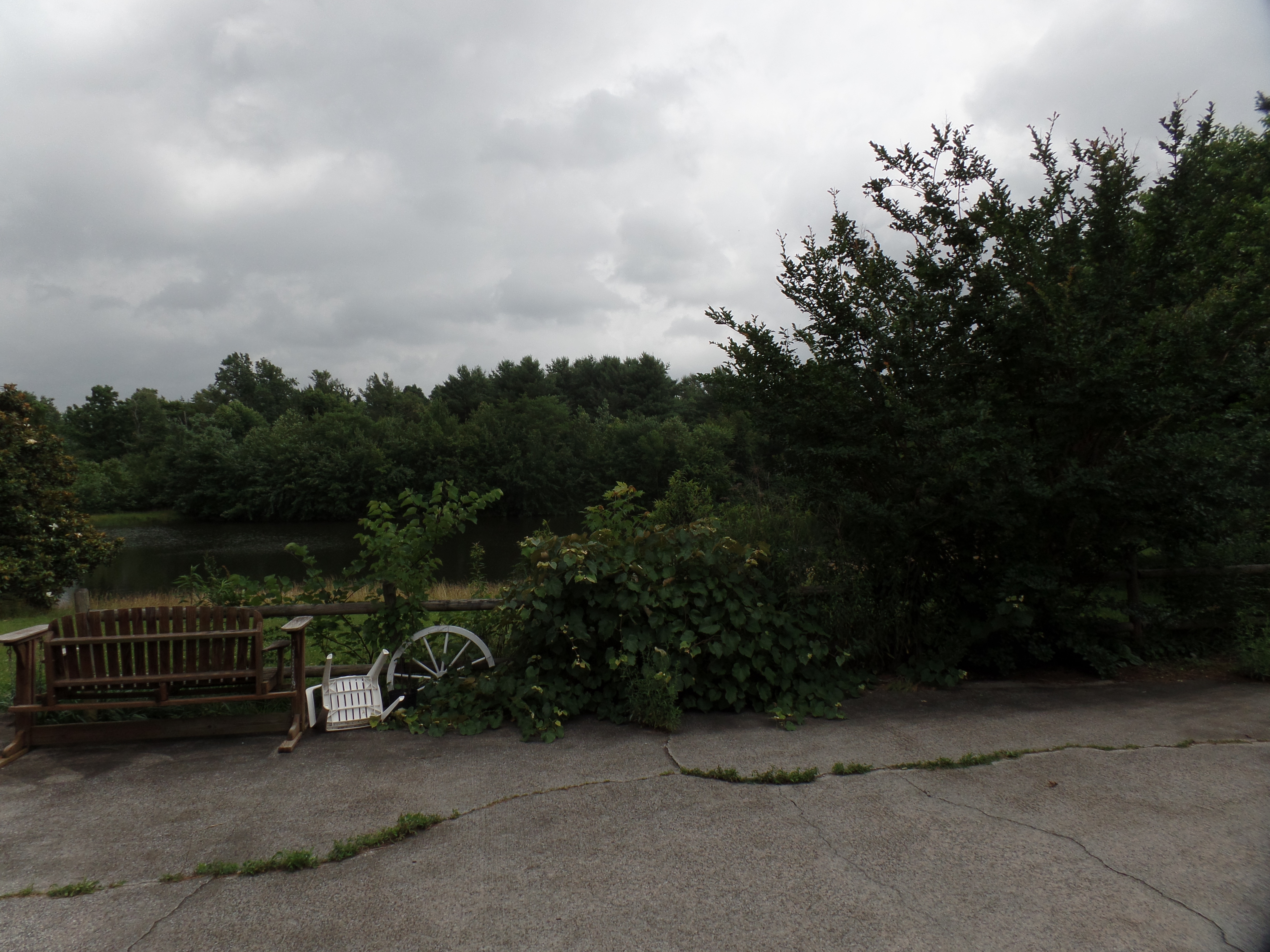 SAMSUNG CAMERA PICTURES