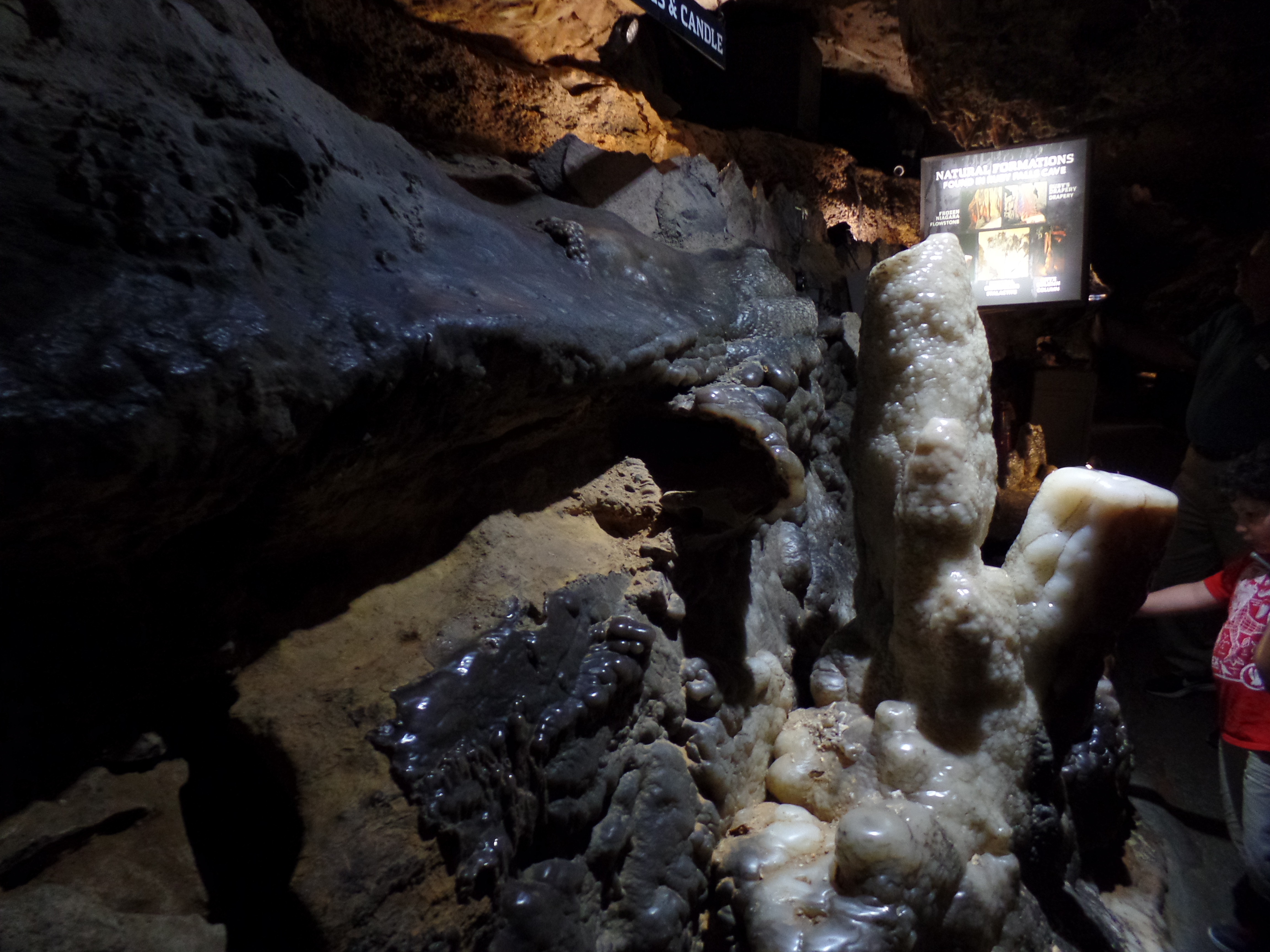 SAMSUNG CAMERA PICTURES