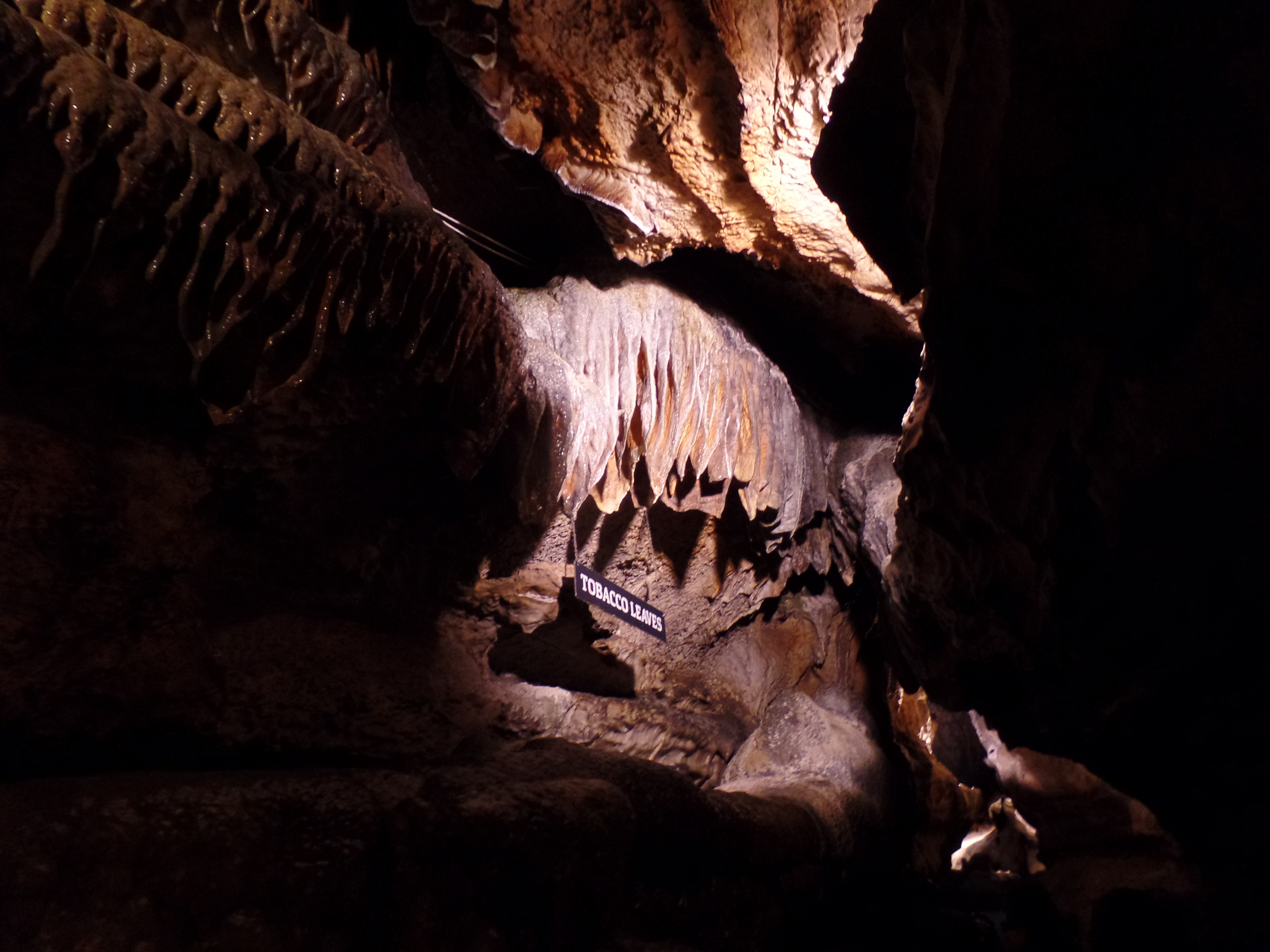 SAMSUNG CAMERA PICTURES