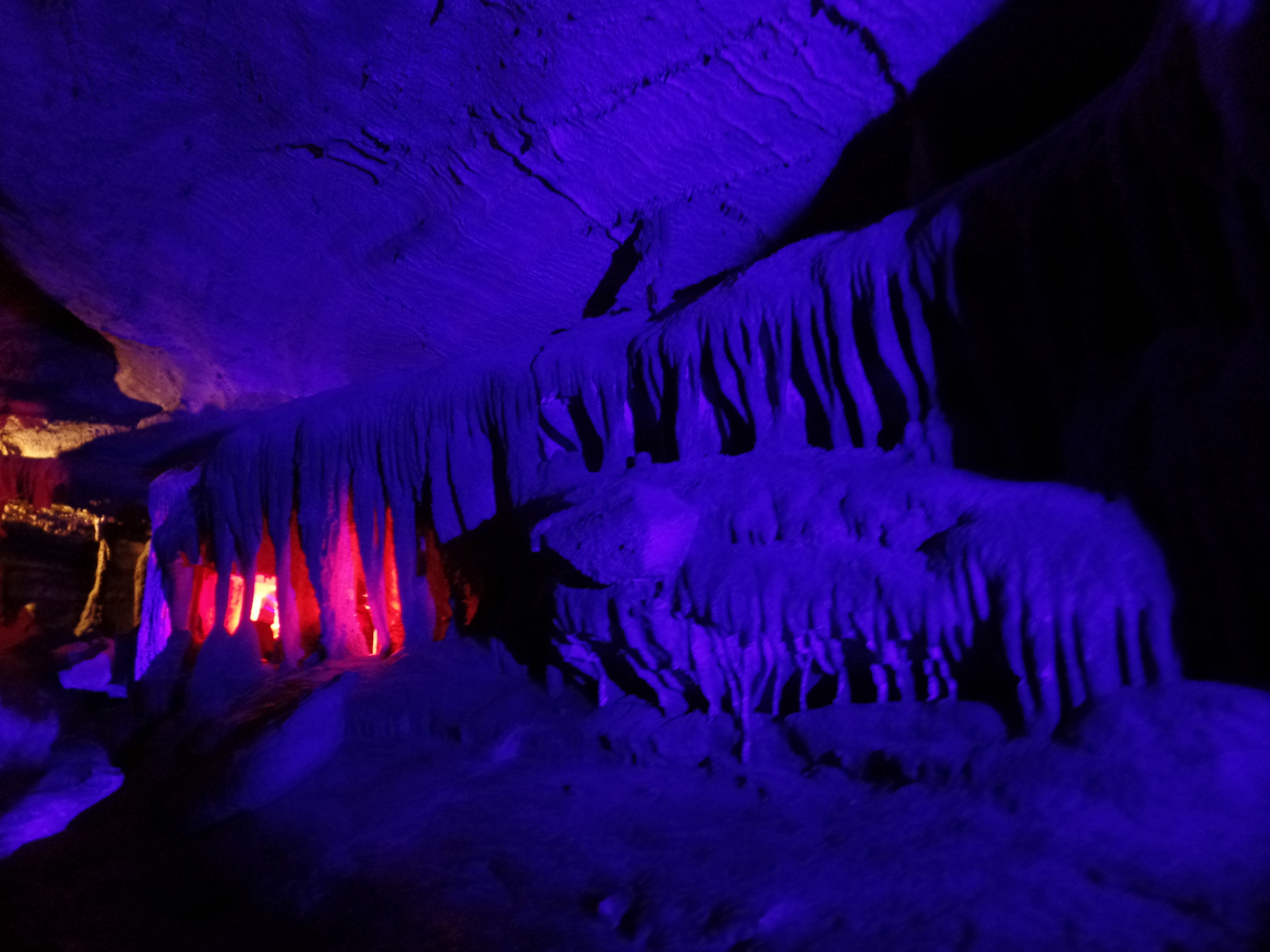 SAMSUNG CAMERA PICTURES